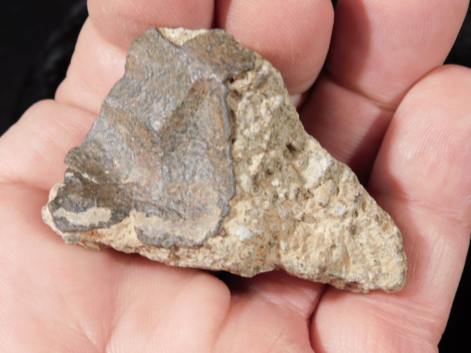 Classified NWA 8245 METEORITE Spots of Dark Fusion Crust! Erfoud, Morocco 55.4gr