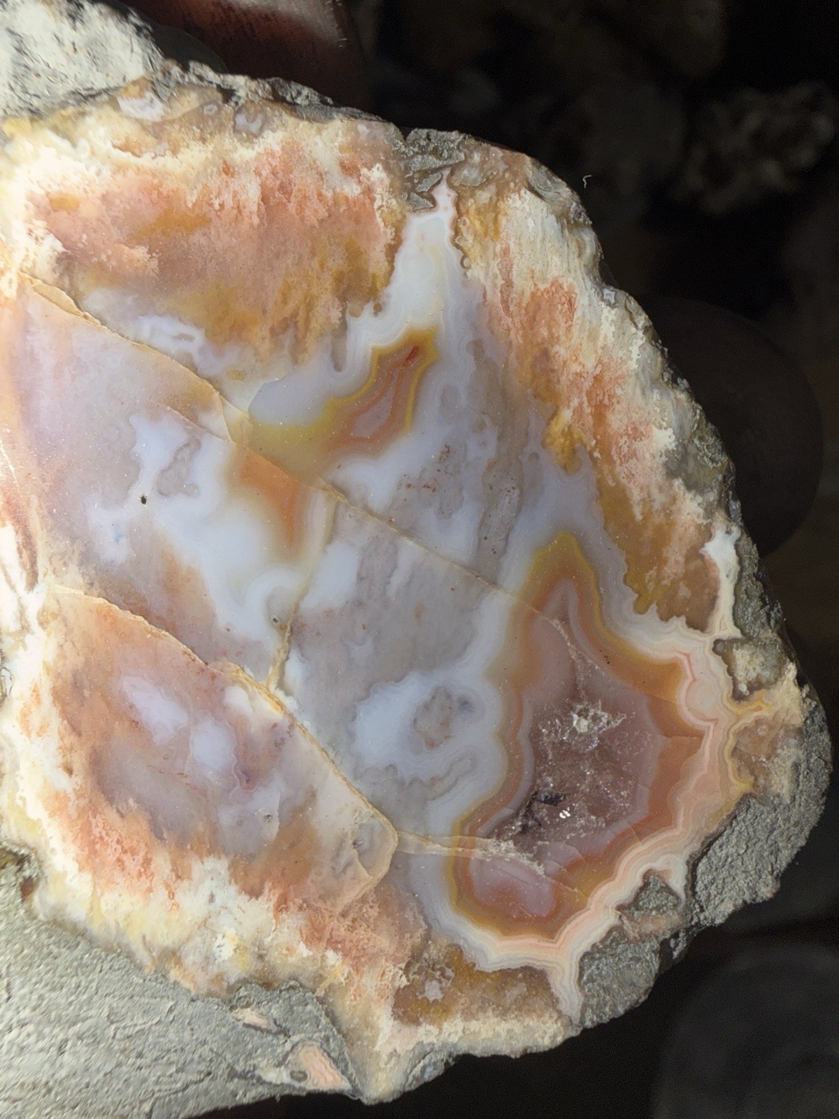 5 Mirror Polished Kentucky Agate Specimens. Nice Variety Fortifications Banding