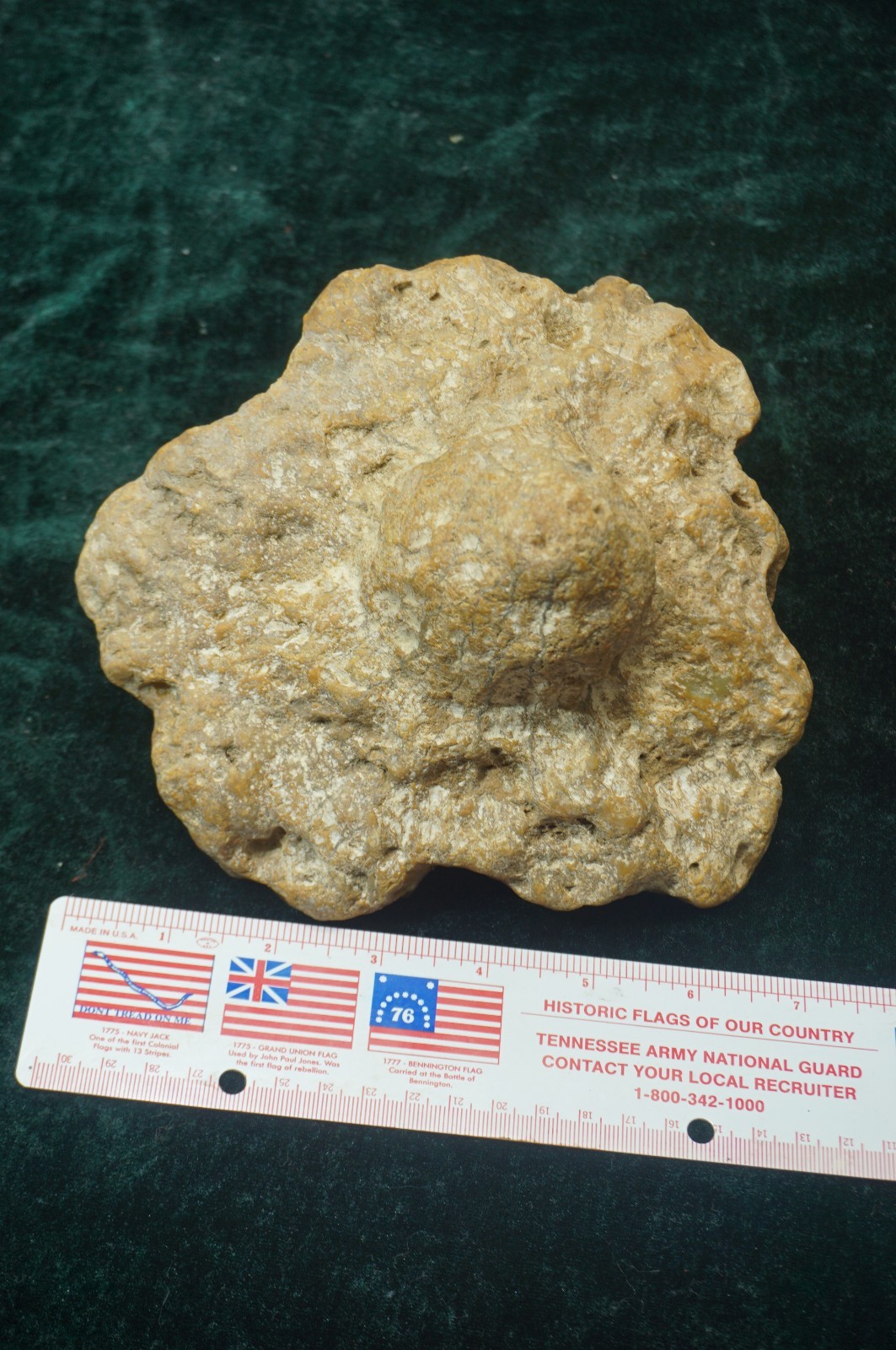 Flying Saucer Kentucky Geode