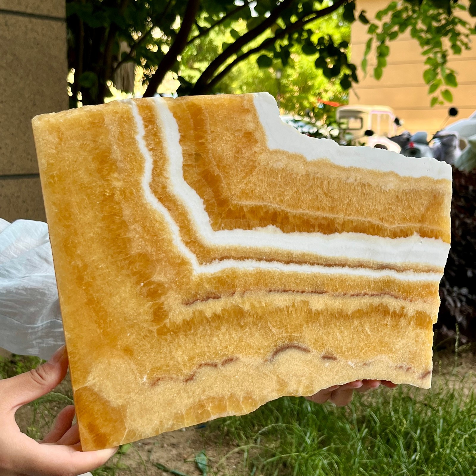 4.9 lb Natural Yellow Calcite Double Sided Polished Crystal Slab Raw