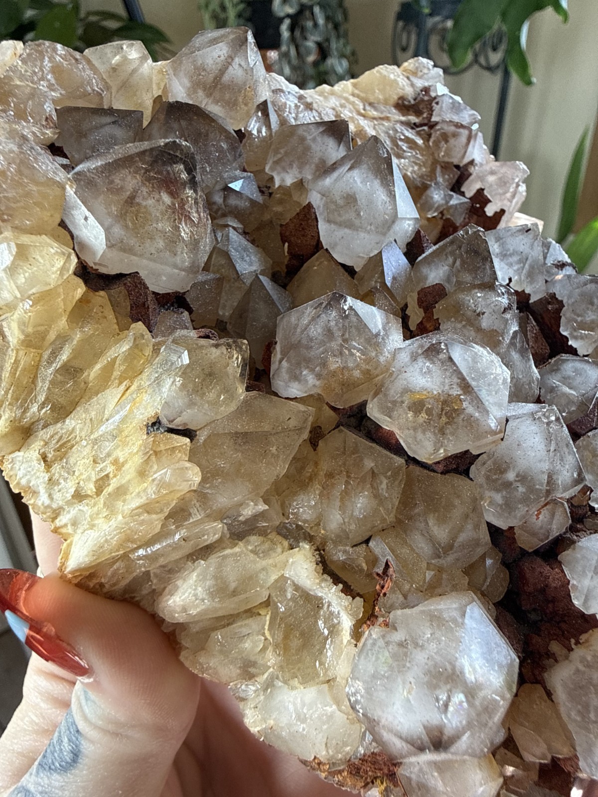 Large Smoky Quartz Crystal Cluster w/Limonite – Bulgaria – 2.45lbs
