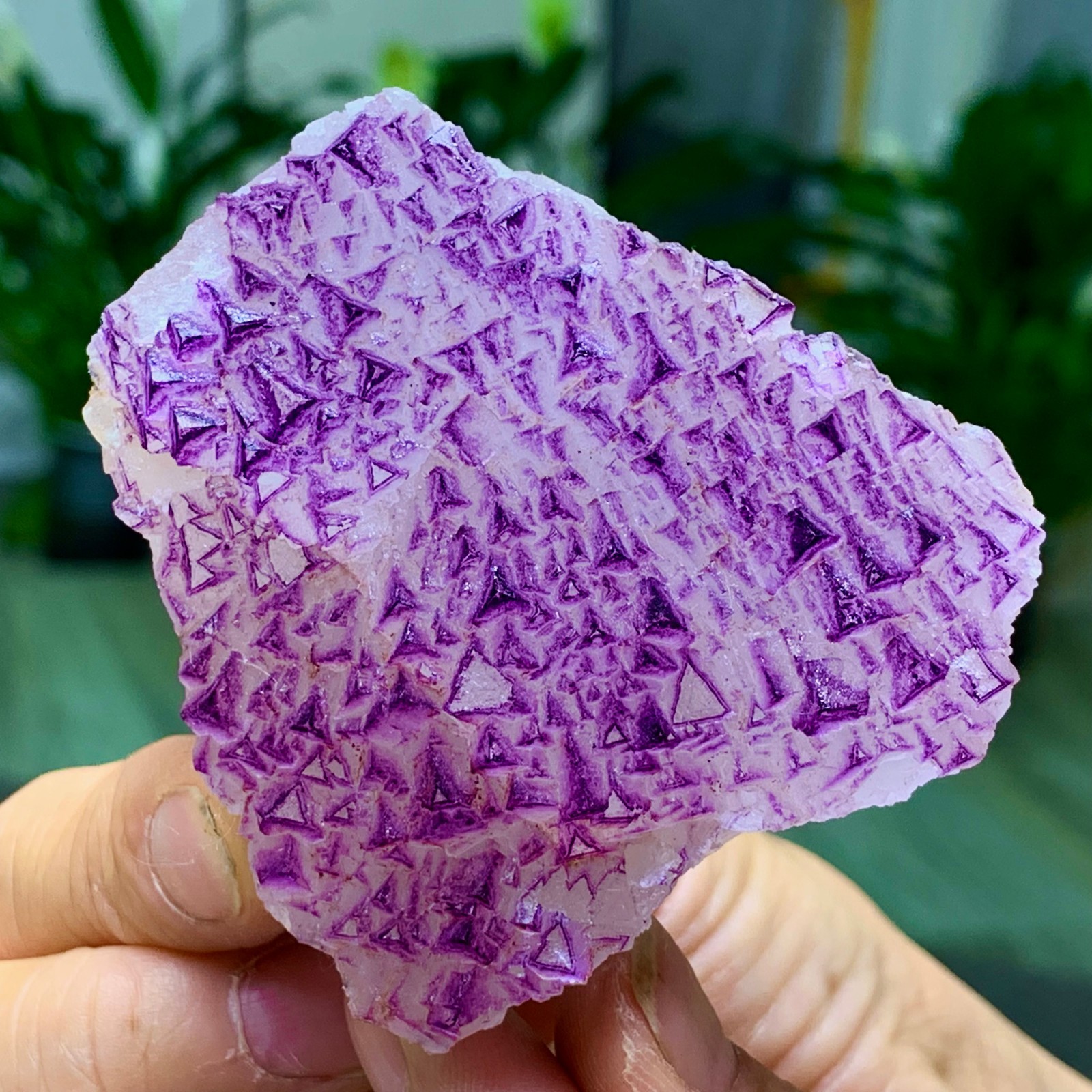 153G Natural fluorite purple edged cubic crystal mineral sample