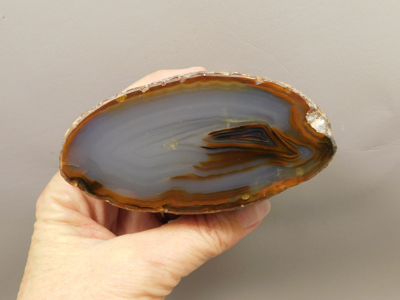 Brazilian Piranha Agate Collector Polished Rock Nodule #O15