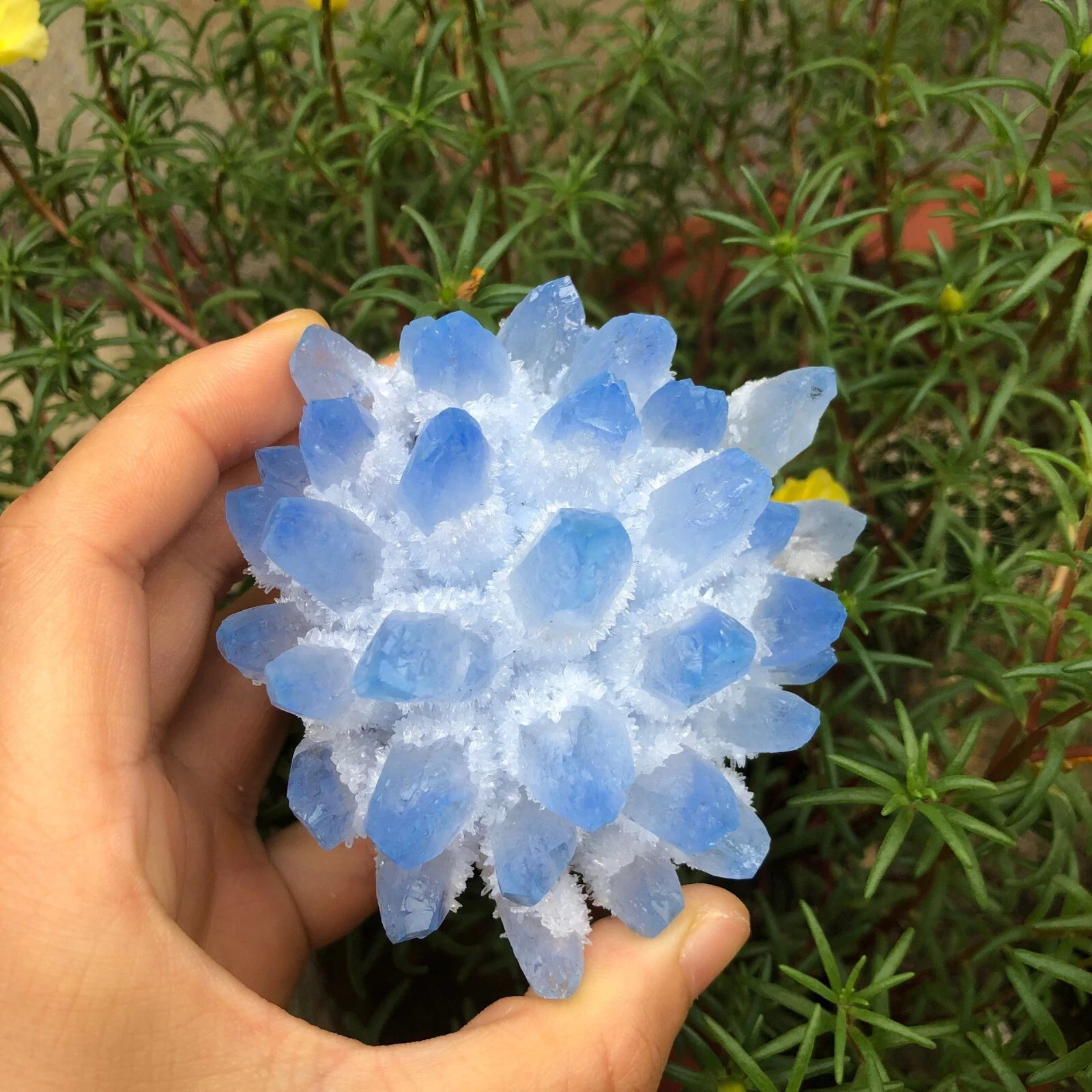 300g+ New Find Blue Phantom Quartz Crystal Cluster Mineral Specimen Healing Gift