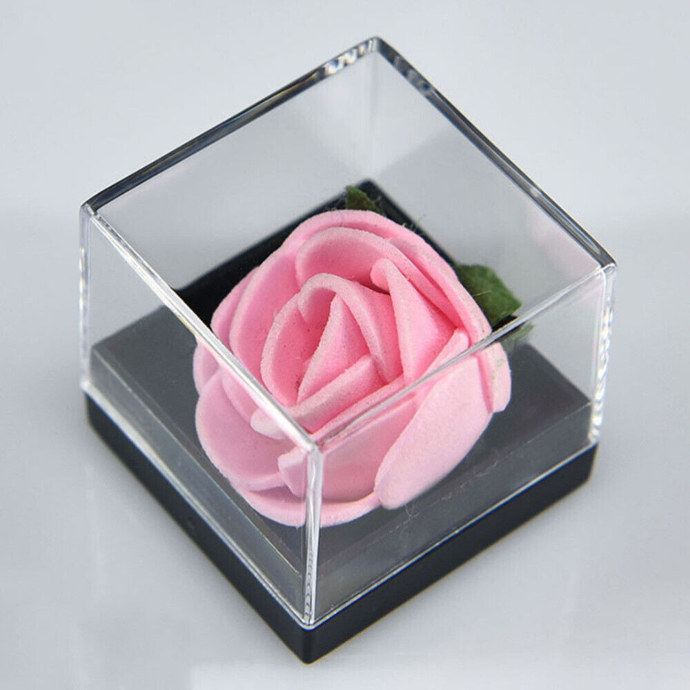 Mineral Display Specimen Box Rectangle Square Display Case Jewelry Organizer USA