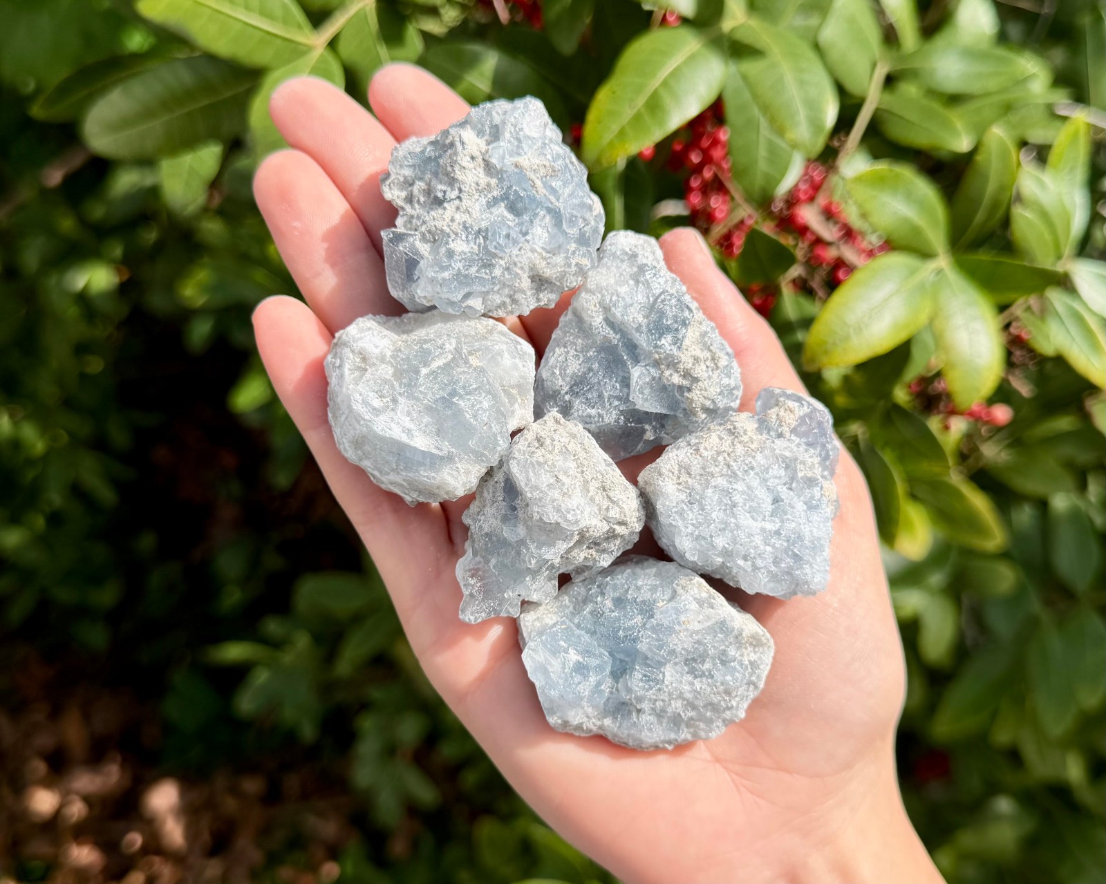 Natural Small Celestite Clusters CLEARANCE Bulk Wholesale Lots (‘B’ Grade)