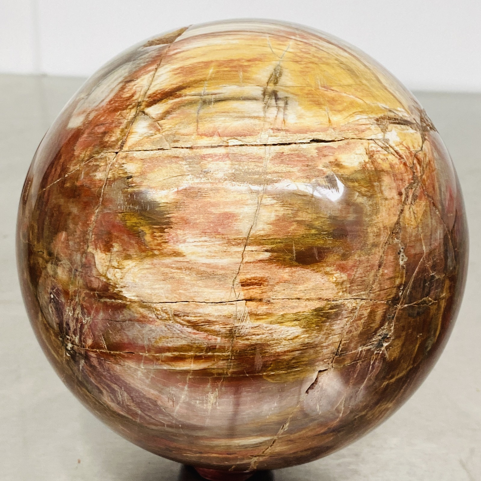 Natural Petrified Wood Polished Stone Quartz Crystal Sphere Ball Healing 3720G