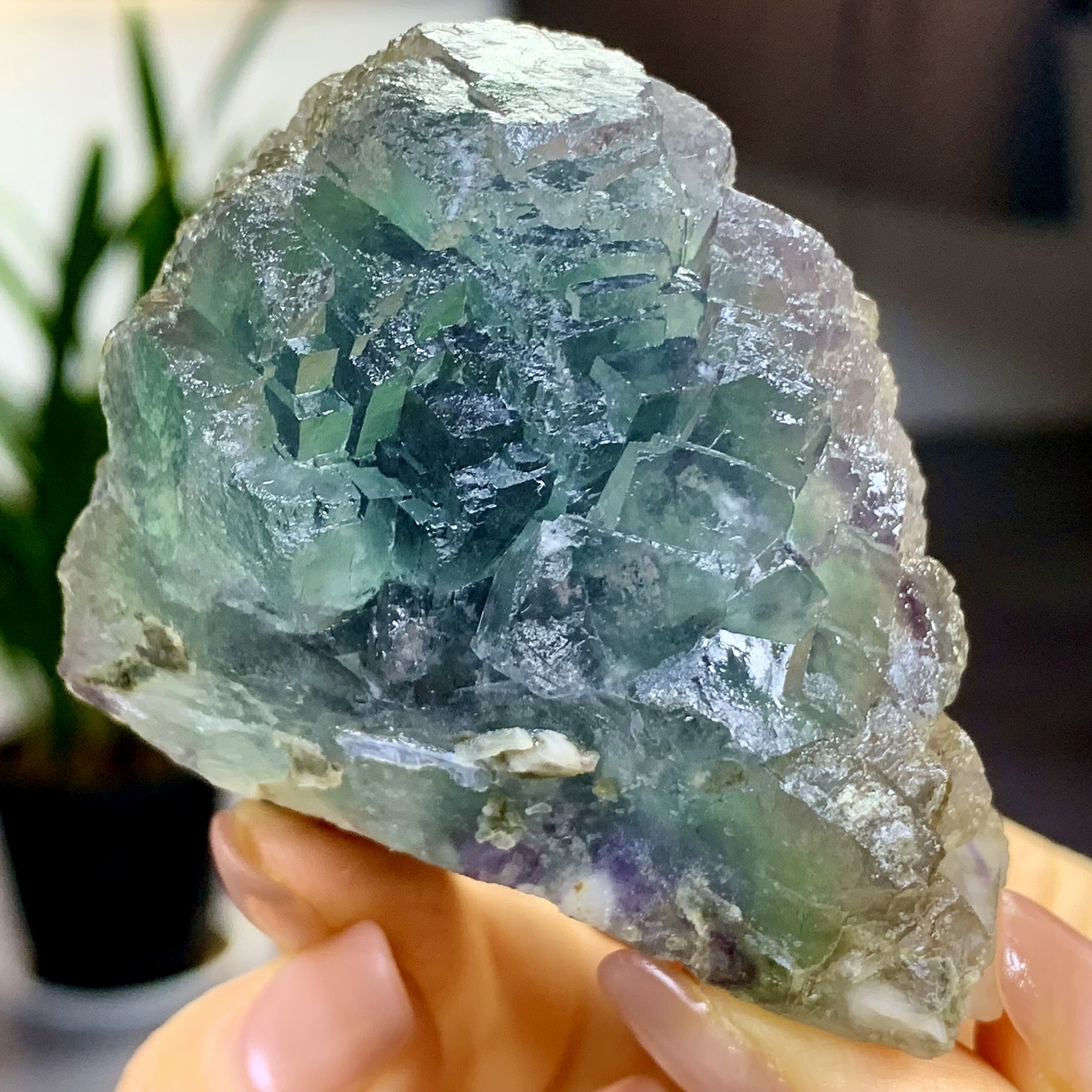 197G Rare transparent blue green cubic fluorite mineral crystal sample