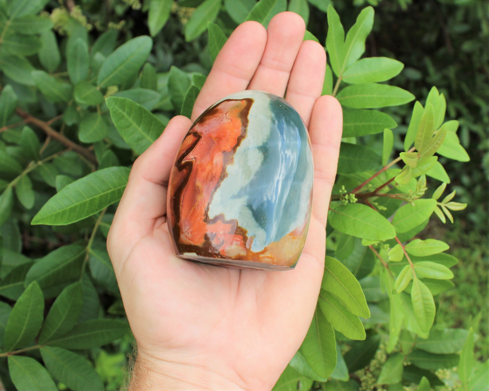 Polished Polychrome Jasper Freeform – Beautiful Free Standing Display Specimens