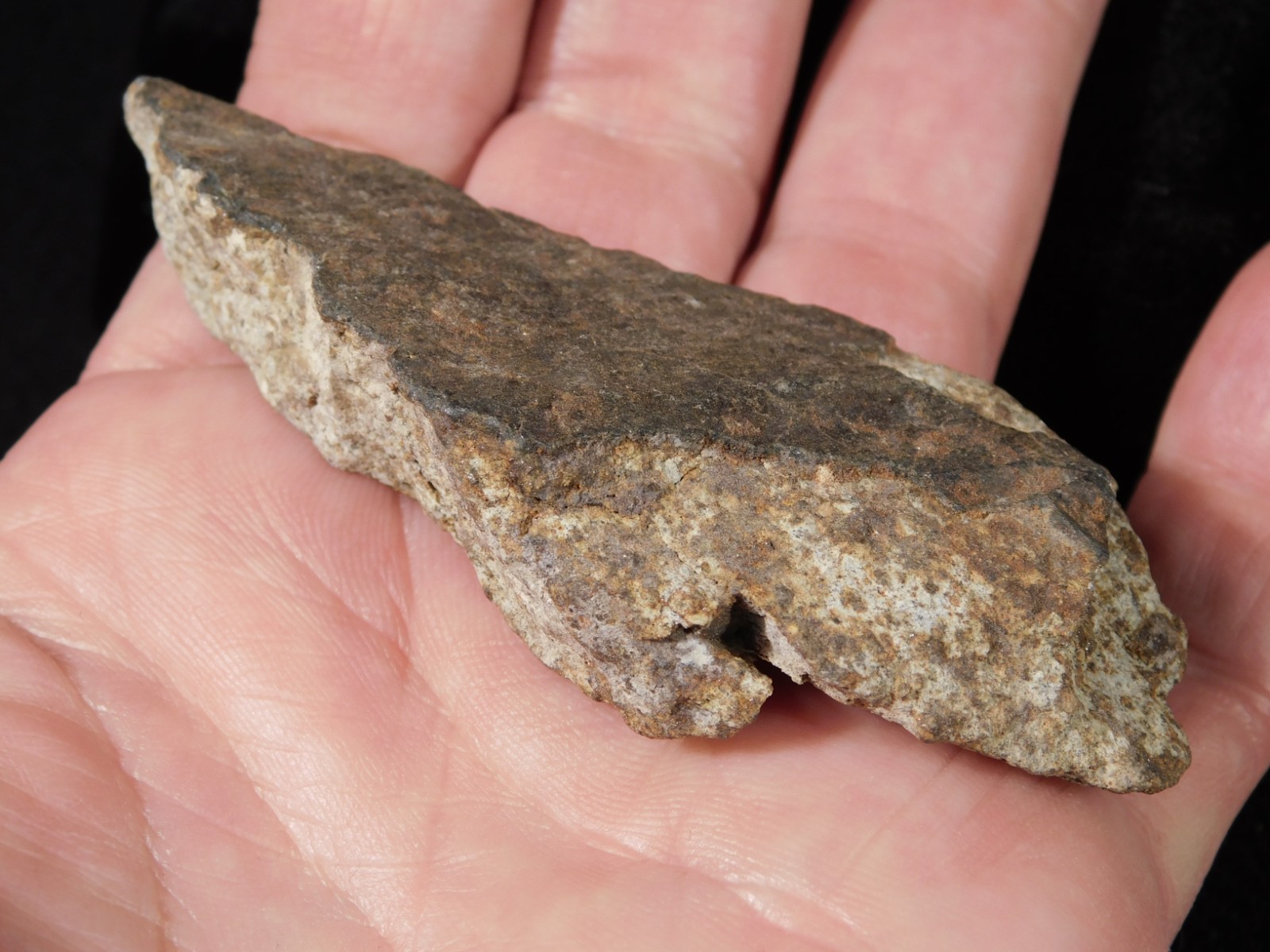 Classified NWA 8245 METEORITE Spots of Dark Fusion Crust! Erfoud, Morocco 68.7gr