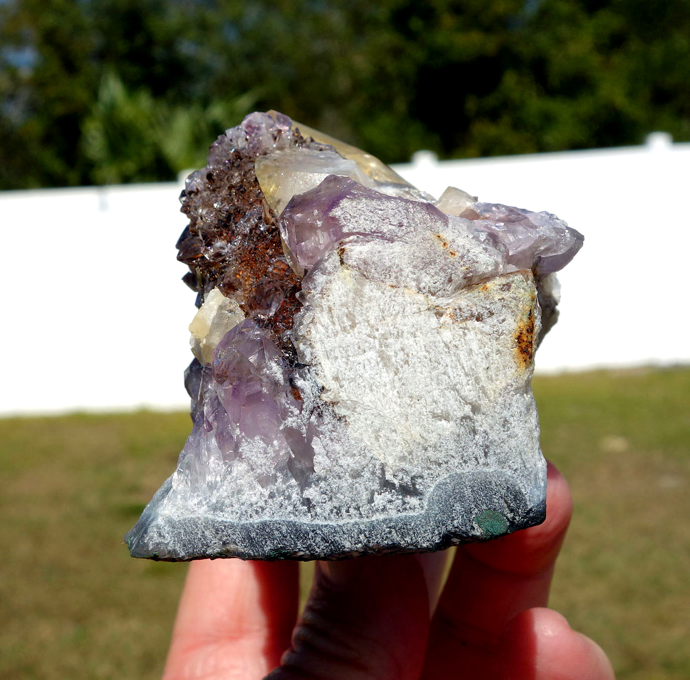 DOGTOOTH CALCITE in Amethyst Flower Quartz Crystal Point a Uruguay STALACTITE