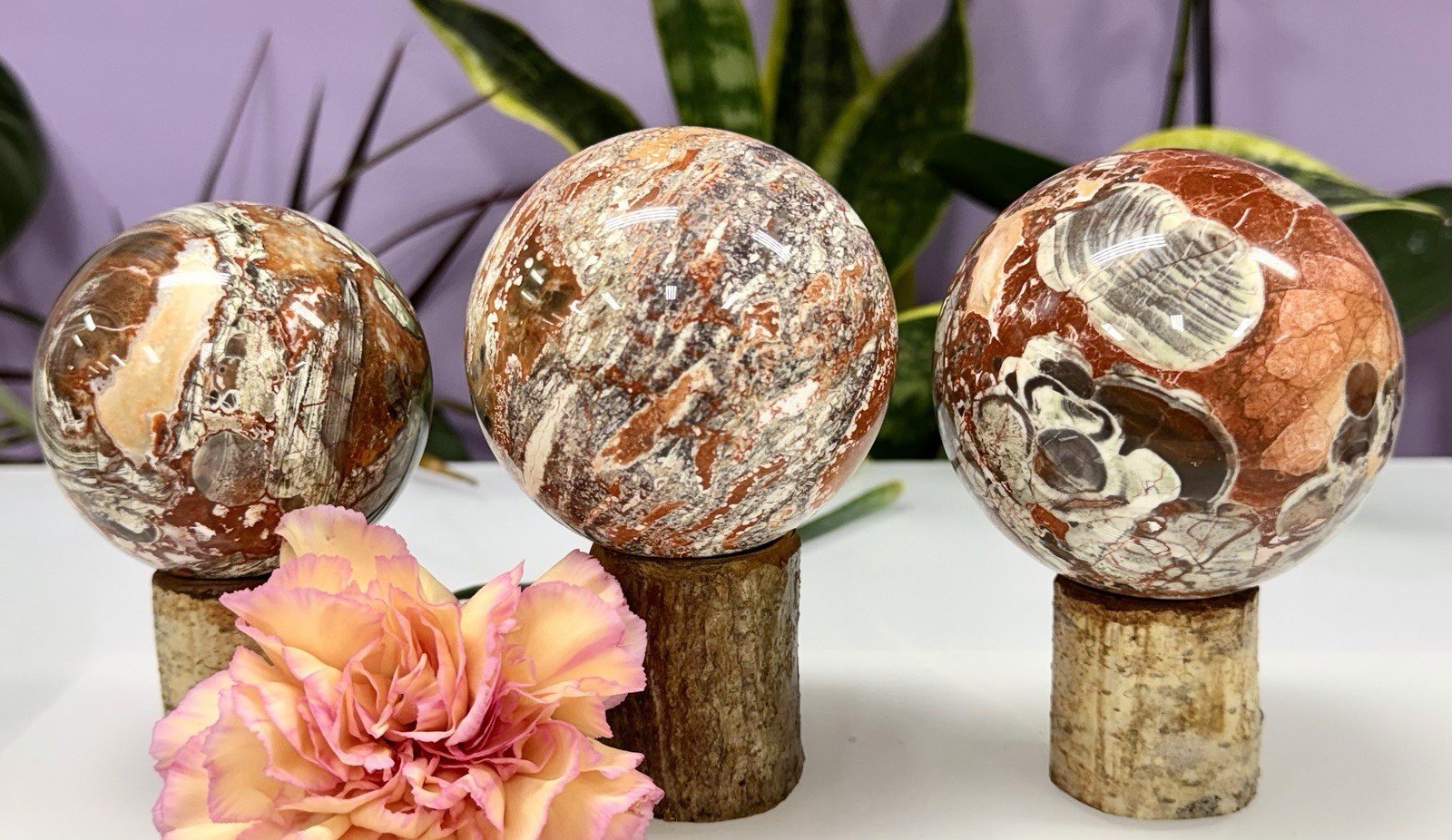 Wholesale Lot 4-5 Pcs Natural Money Agate Spheres Crystal Ball 2.8-3Lbs