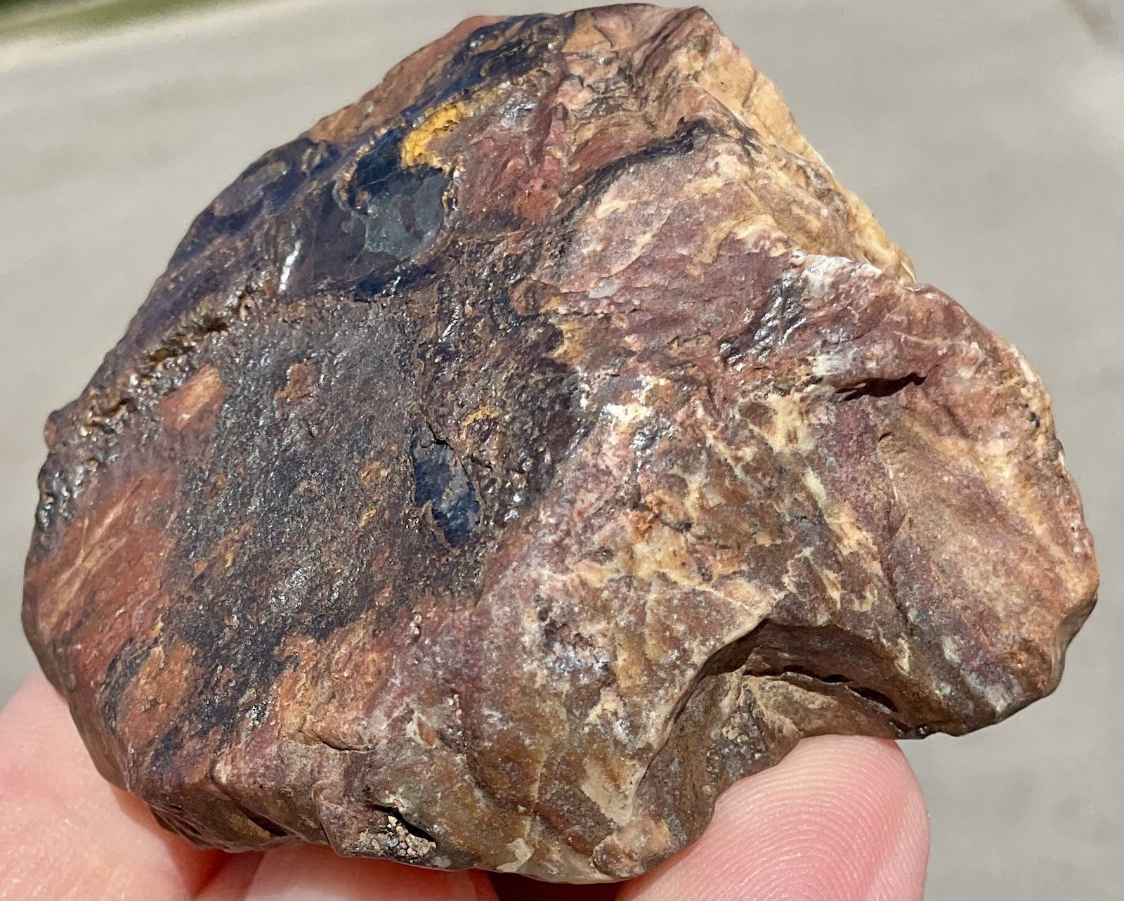 141g Banded Iron Petrified Wood Pseudomorph Rare Minnesota Rough Lapidary