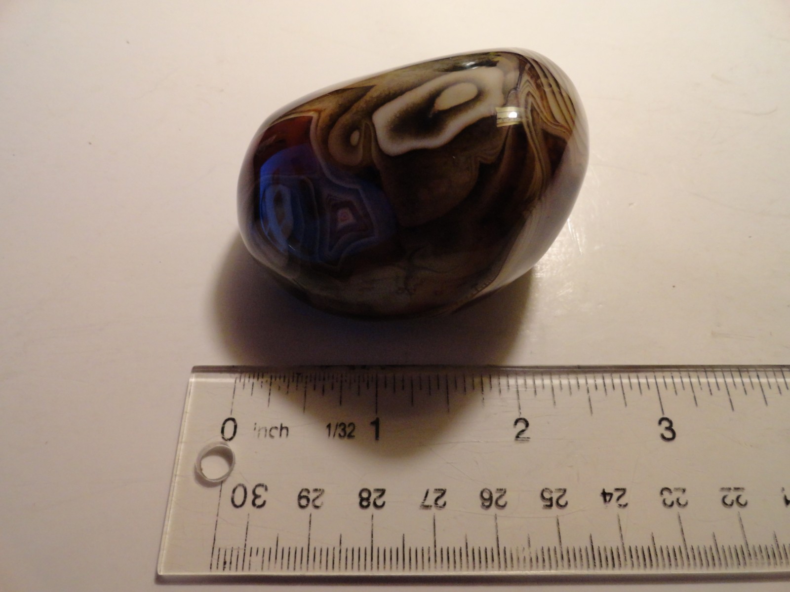 Polished Palm Stone lot