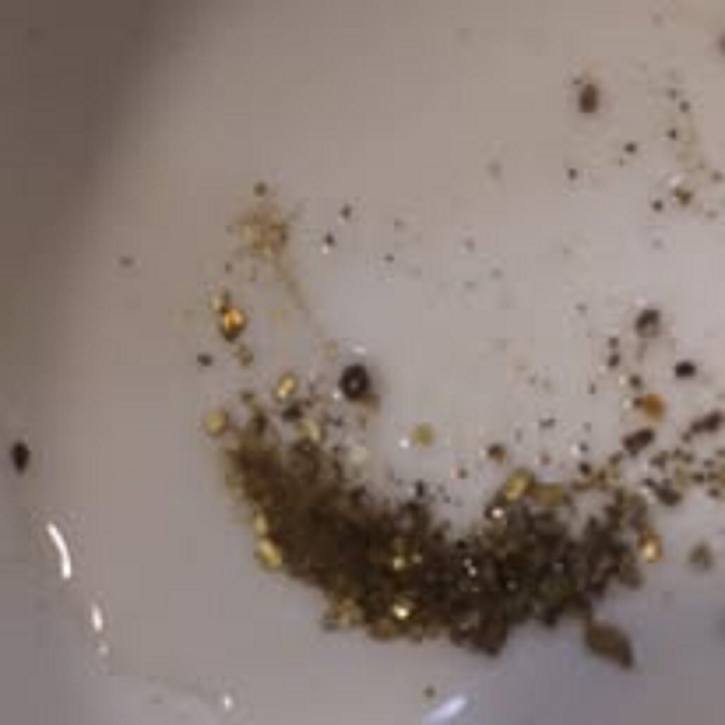 BEST: Gold Paydirt 5 Gallon 100% Unsearched: The picture is from 1/2 cup of dirt