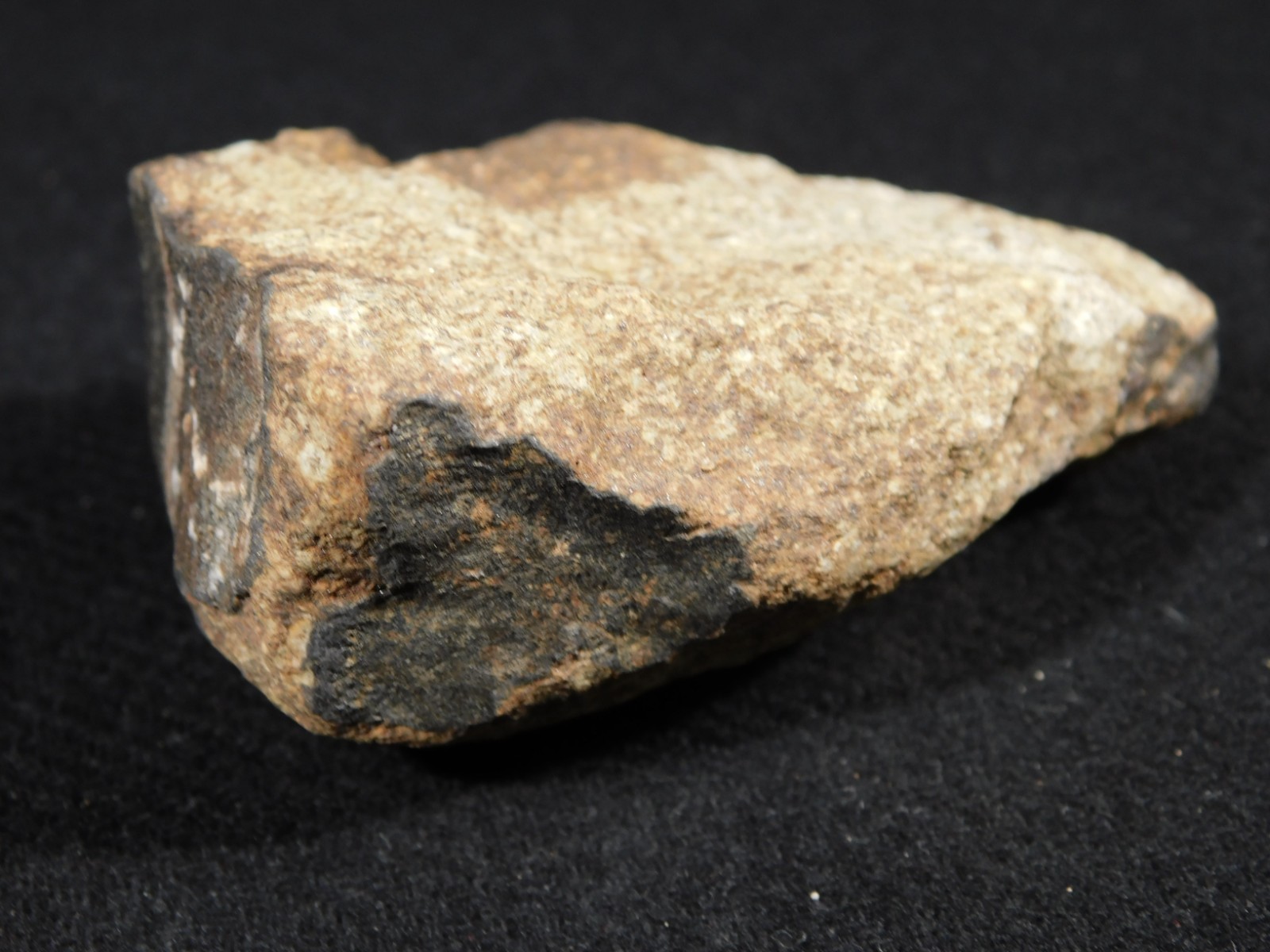Larger Classified NWA 8245 METEORITE 100% Natural! Erfoud, Morocco 207gr