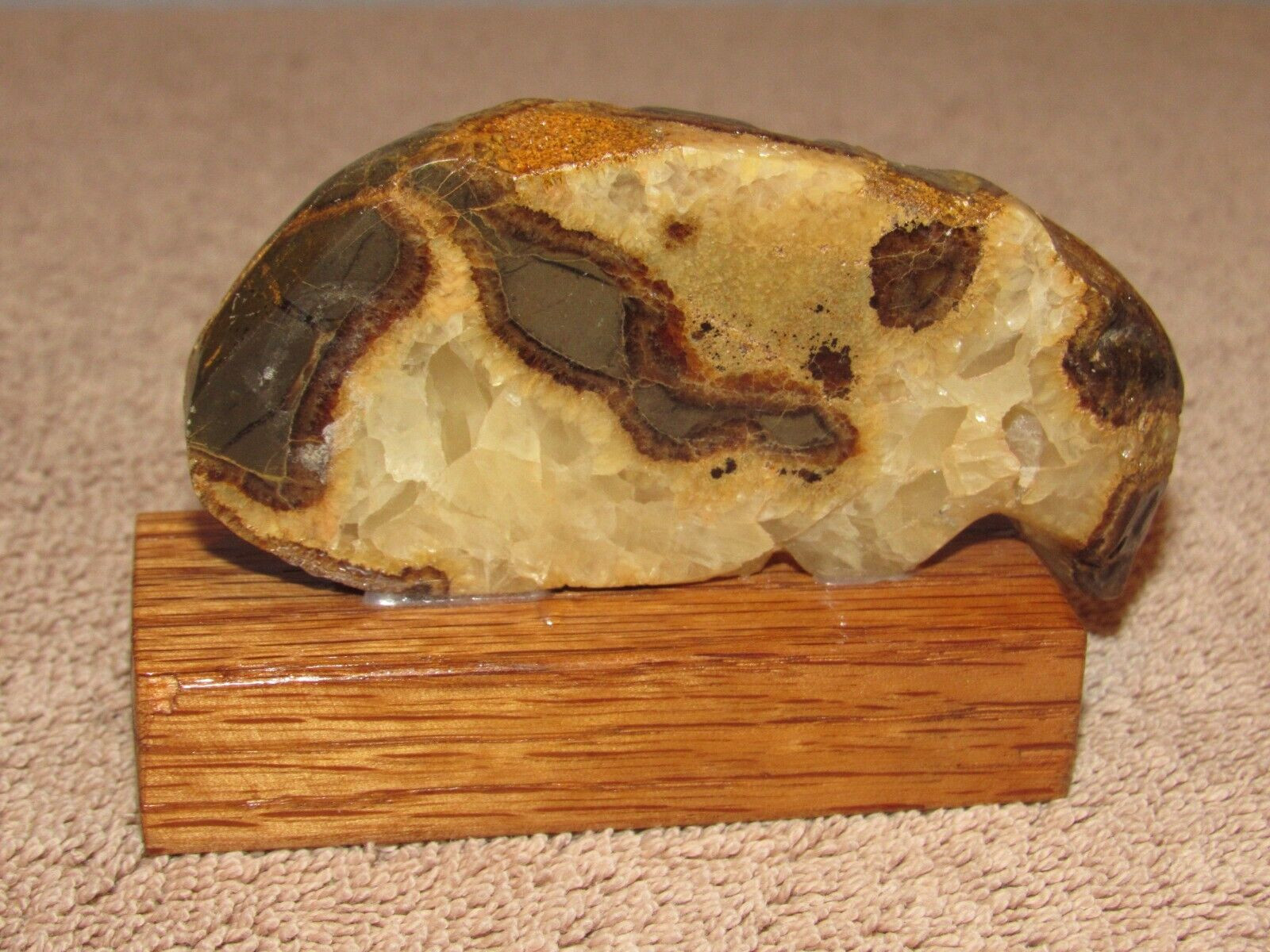 Septarian Nodule Mineral Specimen on Wooden Base – Mt. Carmel, Utah UT #2