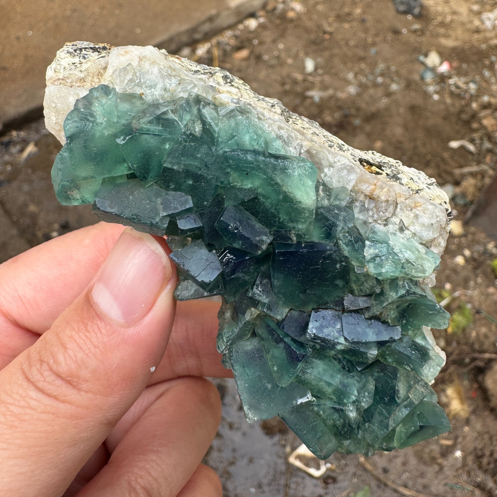 155G Natural cubic green fluorite crystal cluster rough mineral specimen Healing