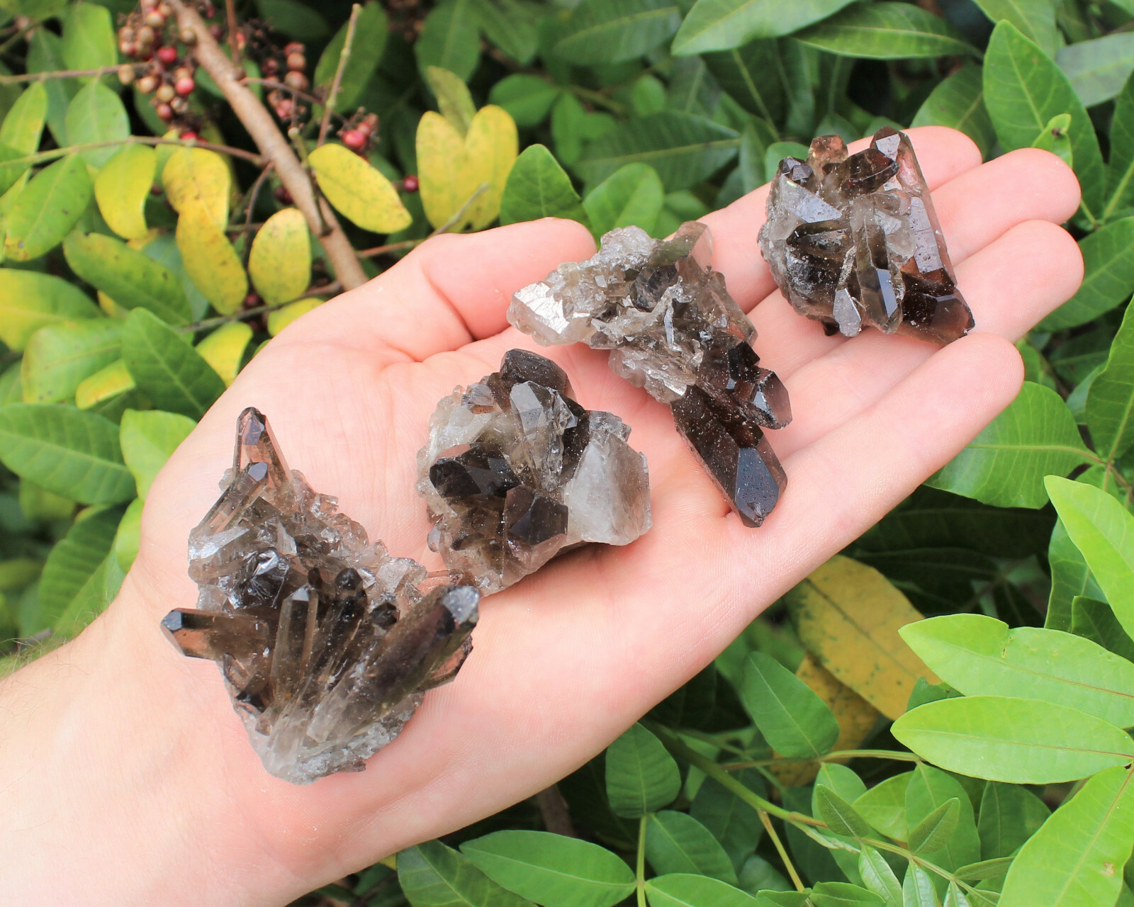 Smoky Quartz Crystal Clusters – Bulk Wholesale ‘A’ Grade High Quality Crystals
