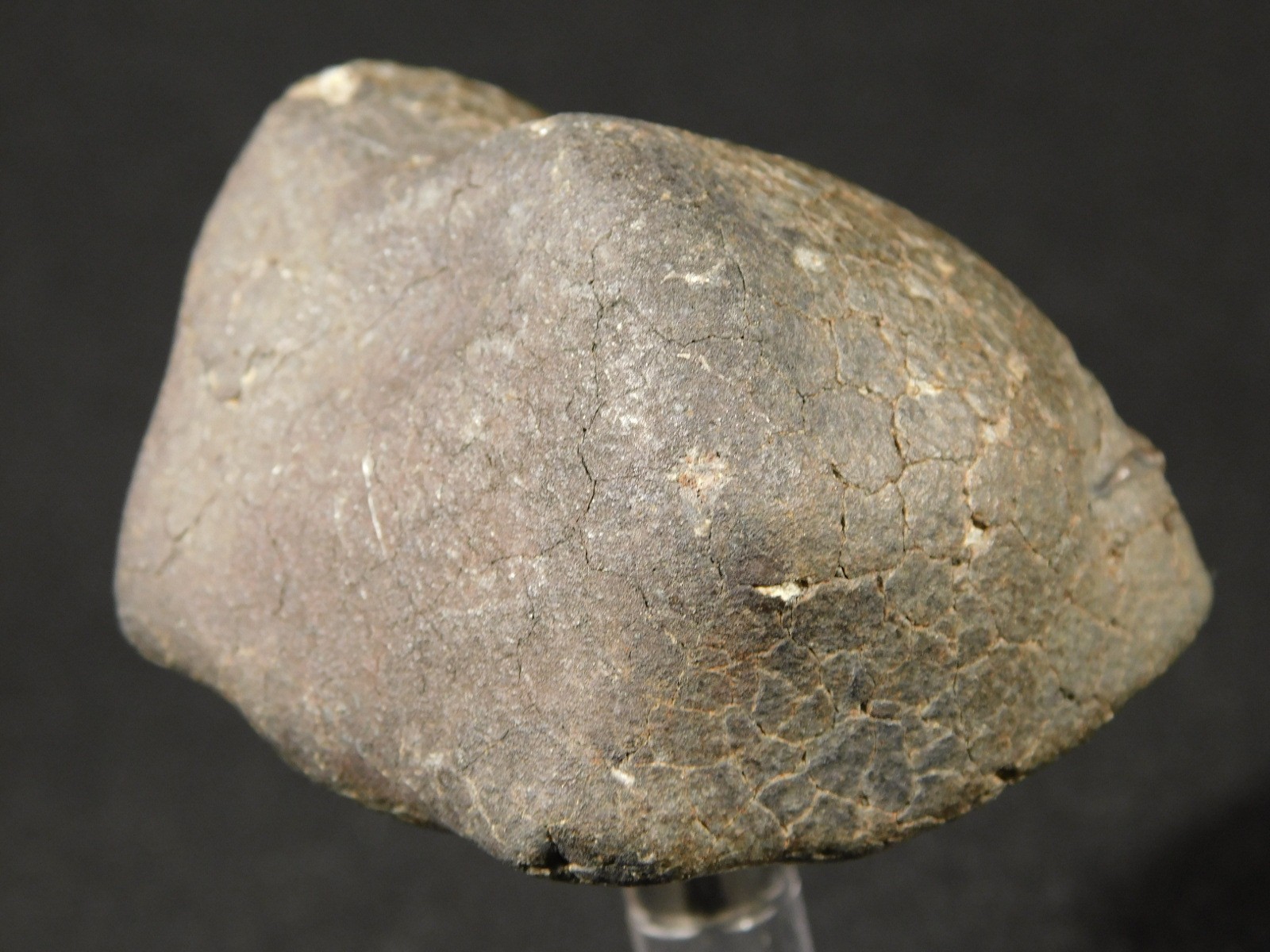 H6 Stony METEORITE Regmaglypts DARK Fusion Crust and Contraction CRACKS! 155gr