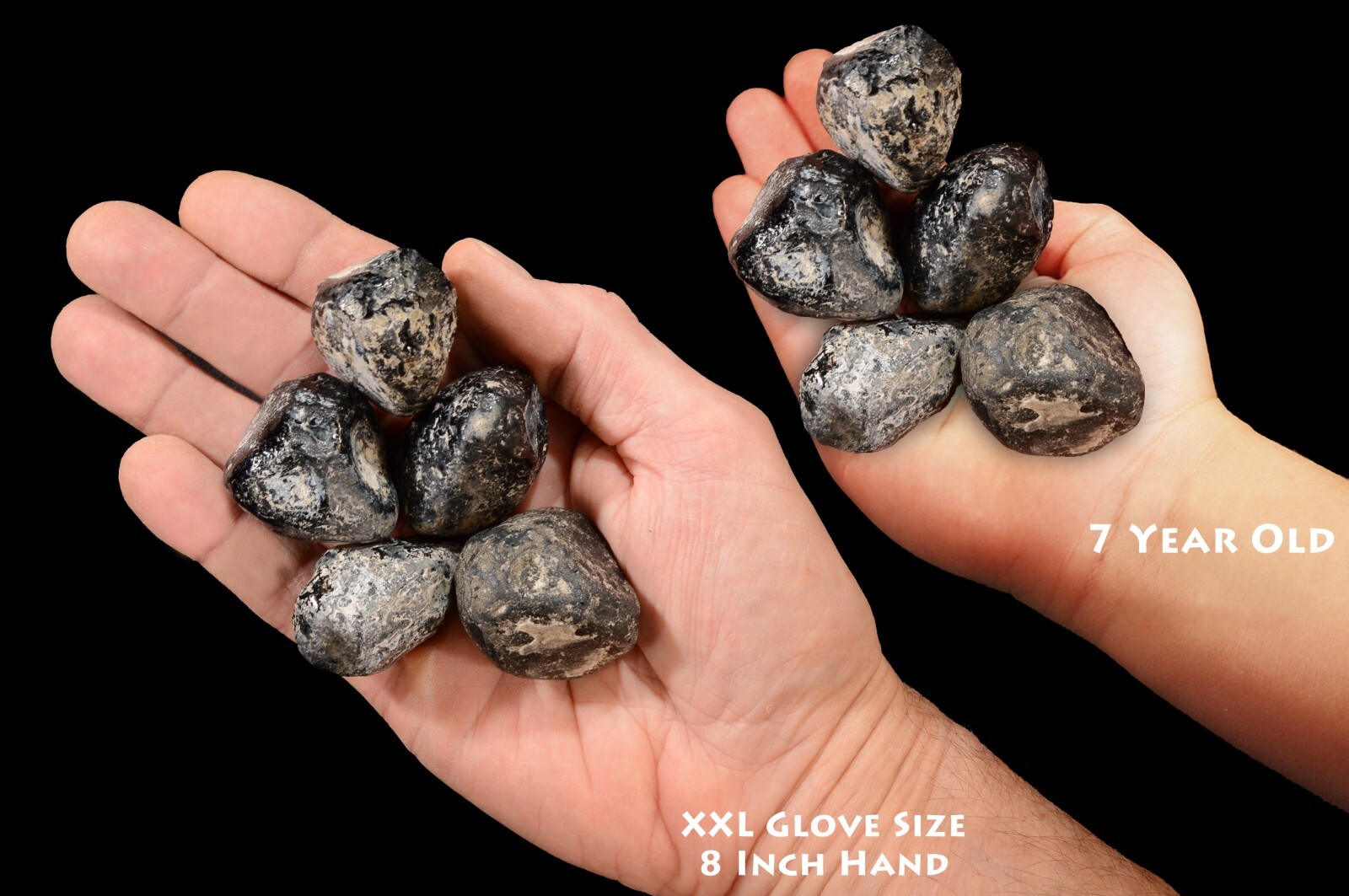 Apache Tear 1 5/8″ Set of 5 Rough Crystal Healing Stone Raw Root Chakra Reiki
