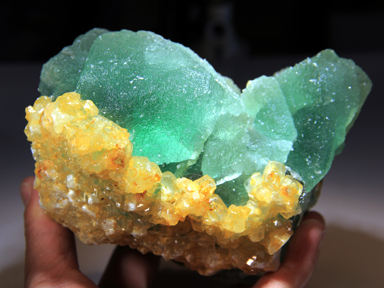 5.75″ Golden Barite on Green Fluorite, Super Color Contrast! Hunan, China! FL265