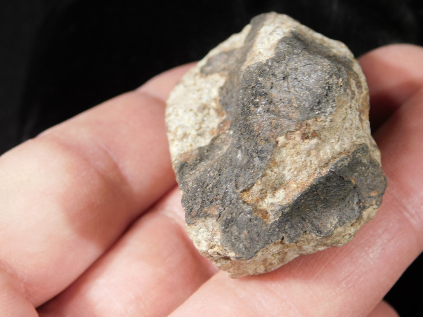 Classified NWA 8245 METEORITE 100% Natural FELL on Erfoud, Morocco 68.1gr