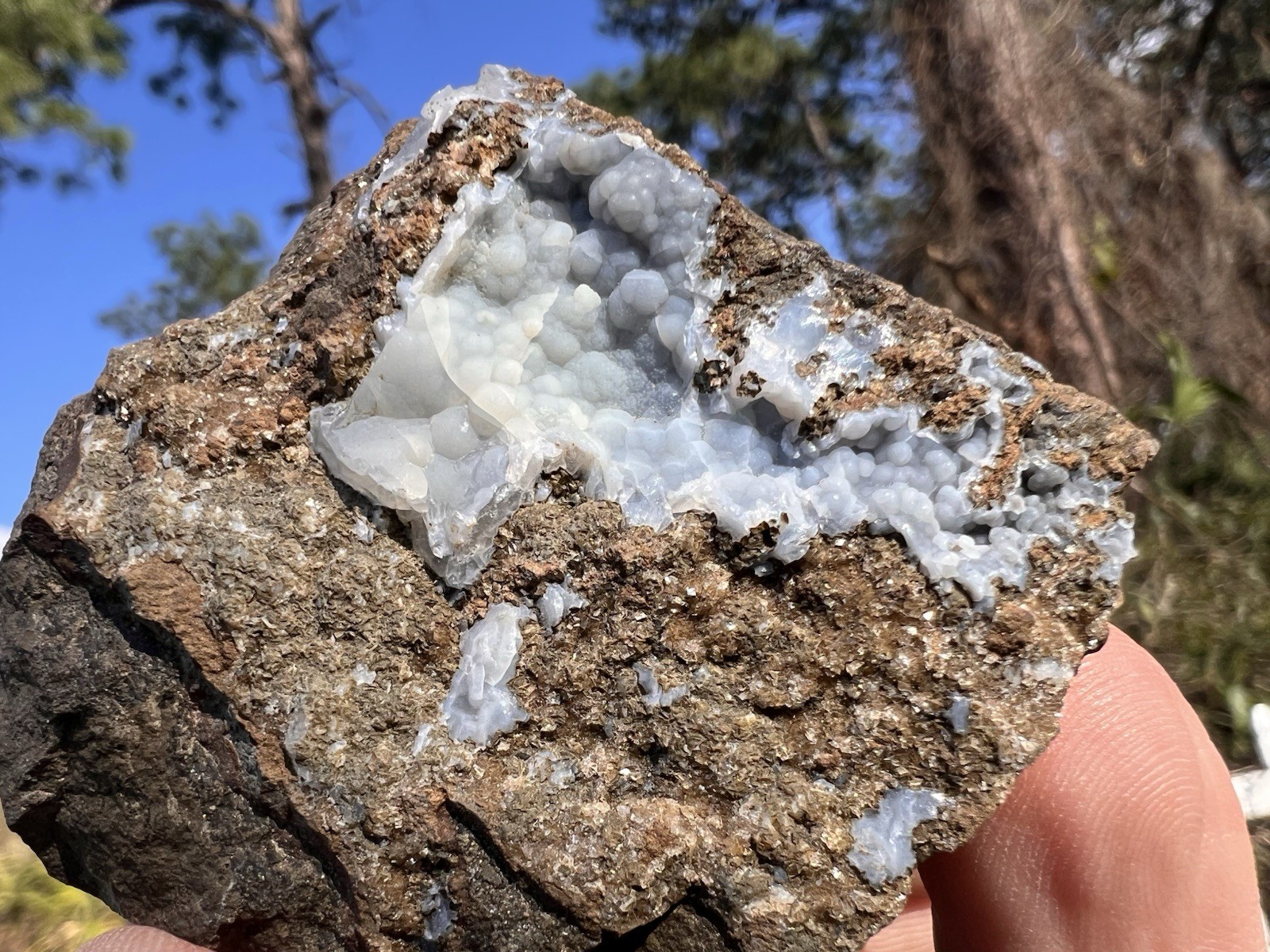 Botryoidal Blue Chalcedony Vug – Gleichenberg, Austria – 165 Grams