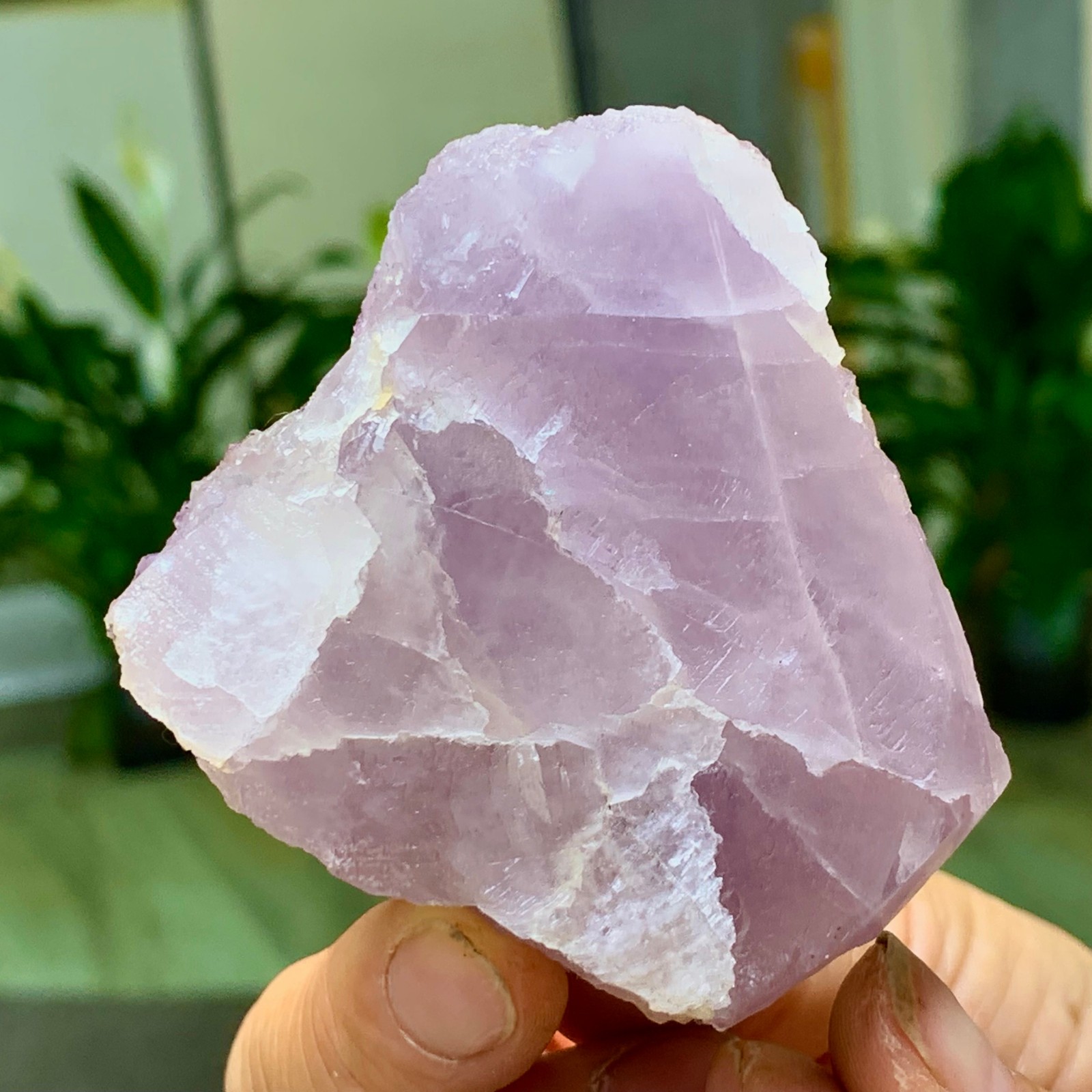 153G Natural fluorite purple edged cubic crystal mineral sample