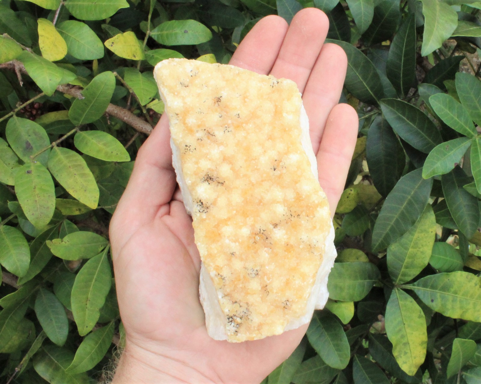 Citrine Cut Base Clusters – CLEARANCE Quality Free Standing Citrine Crystals