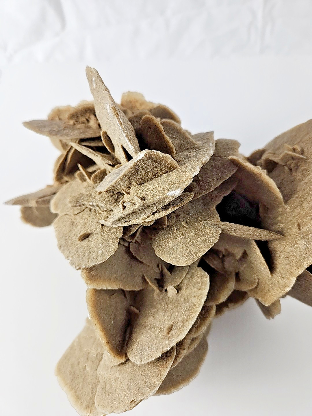 6 LB 7 OZ 2.94 kg Selenite Desert Rose Gypsum Minerals Crystals