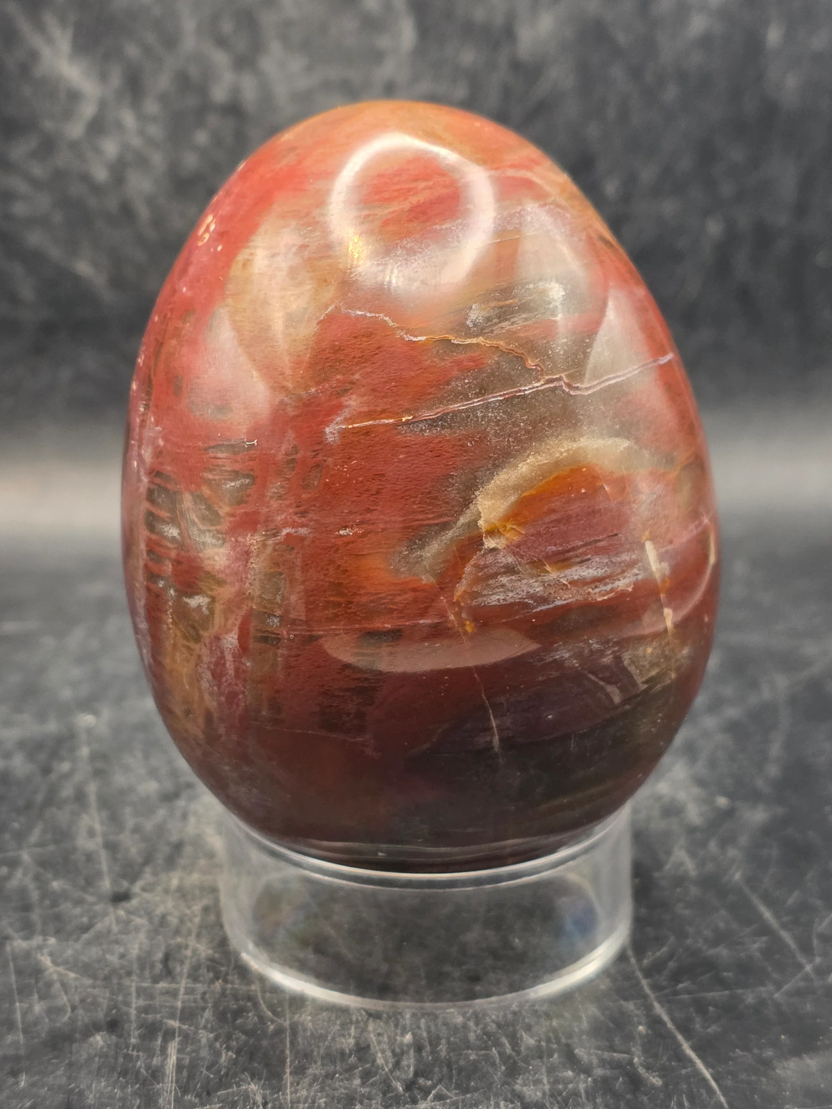 Petrified wood egg! 15 ounces, 3.1 inches tall, 2.4 inches wide!