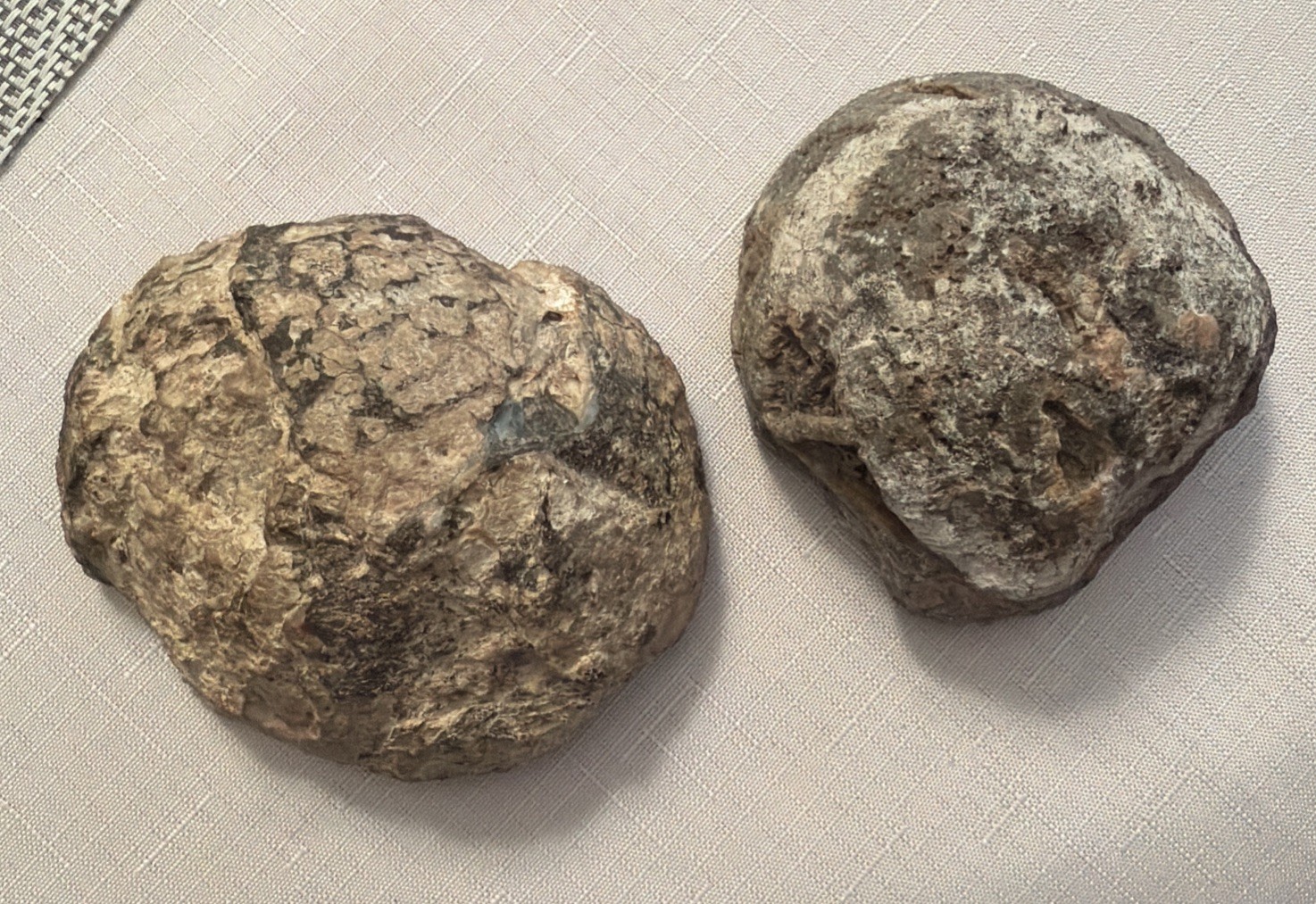 (2) 4” 814g Agate Geode Christal Cut and Polished Round Gray/Blue