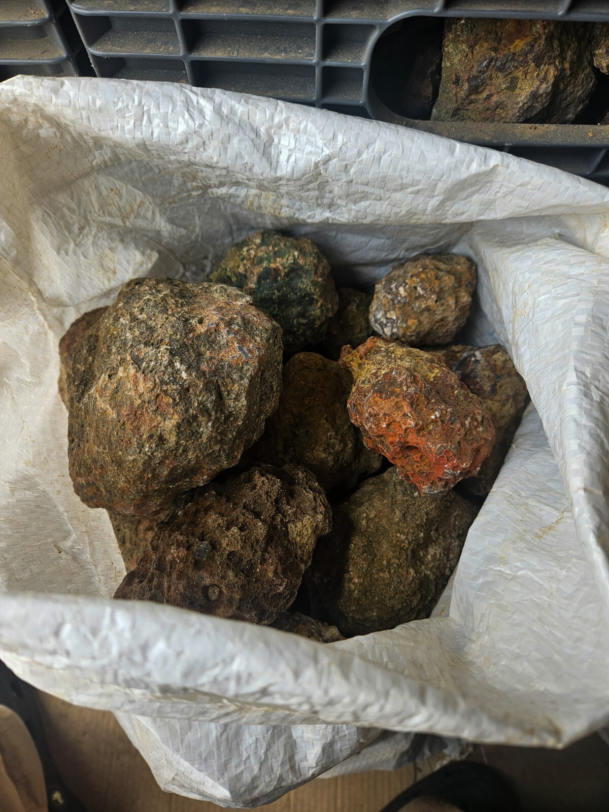 Condor agate Top grade or Premiun quality rough nodules 4 pounds