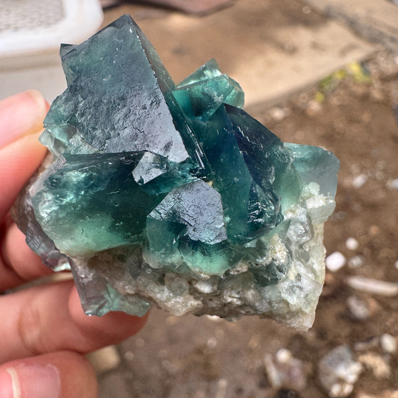 70G Natural cubic green fluorite crystal cluster rough mineral specimen Healing