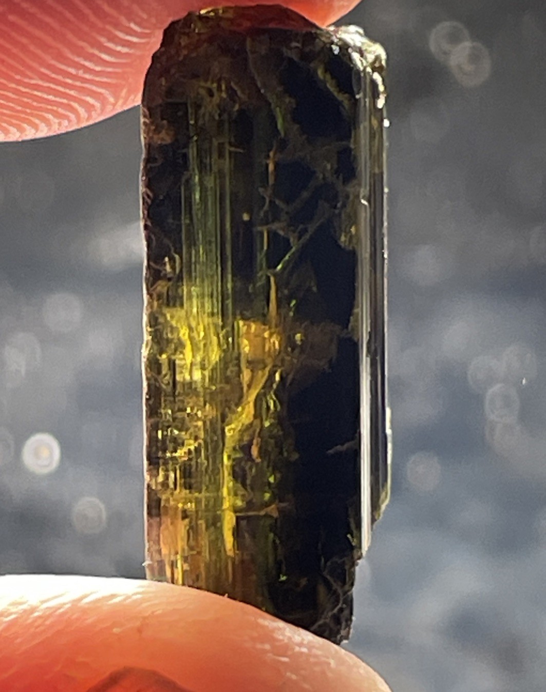 BEAUTIFUL RARE CHROME DRAVITE TOURMALINE THUMBNAIL TANZANIA, AFRICA