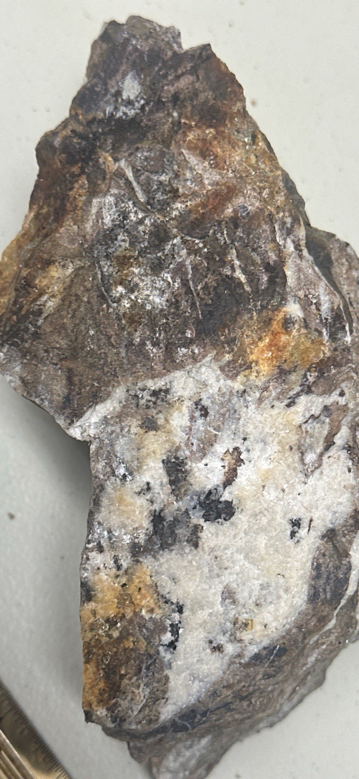 Plumas County Northern Sierra Gold Ore, Priced Right & Visible Gold + Minerals