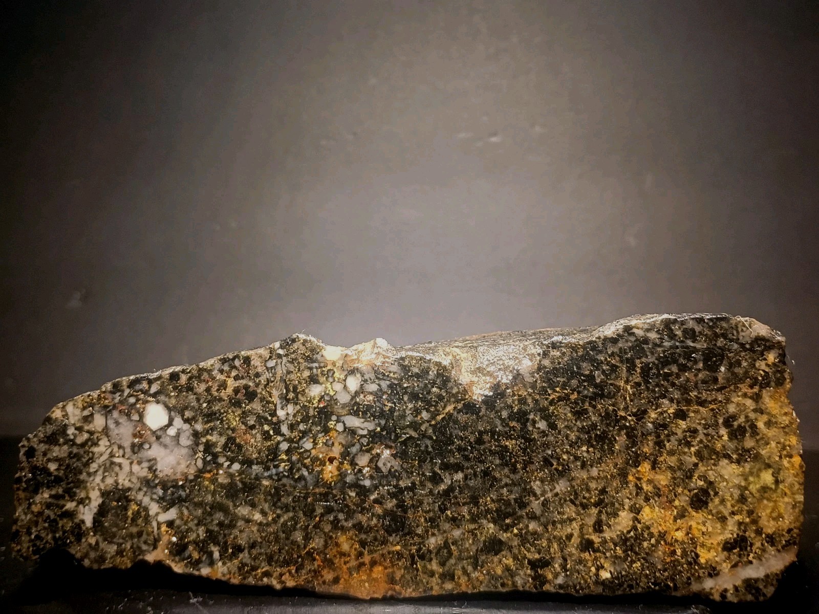 Historic Cox Collection Silver Mines MO Polished Greisen Vein Swarm Relic 2lb