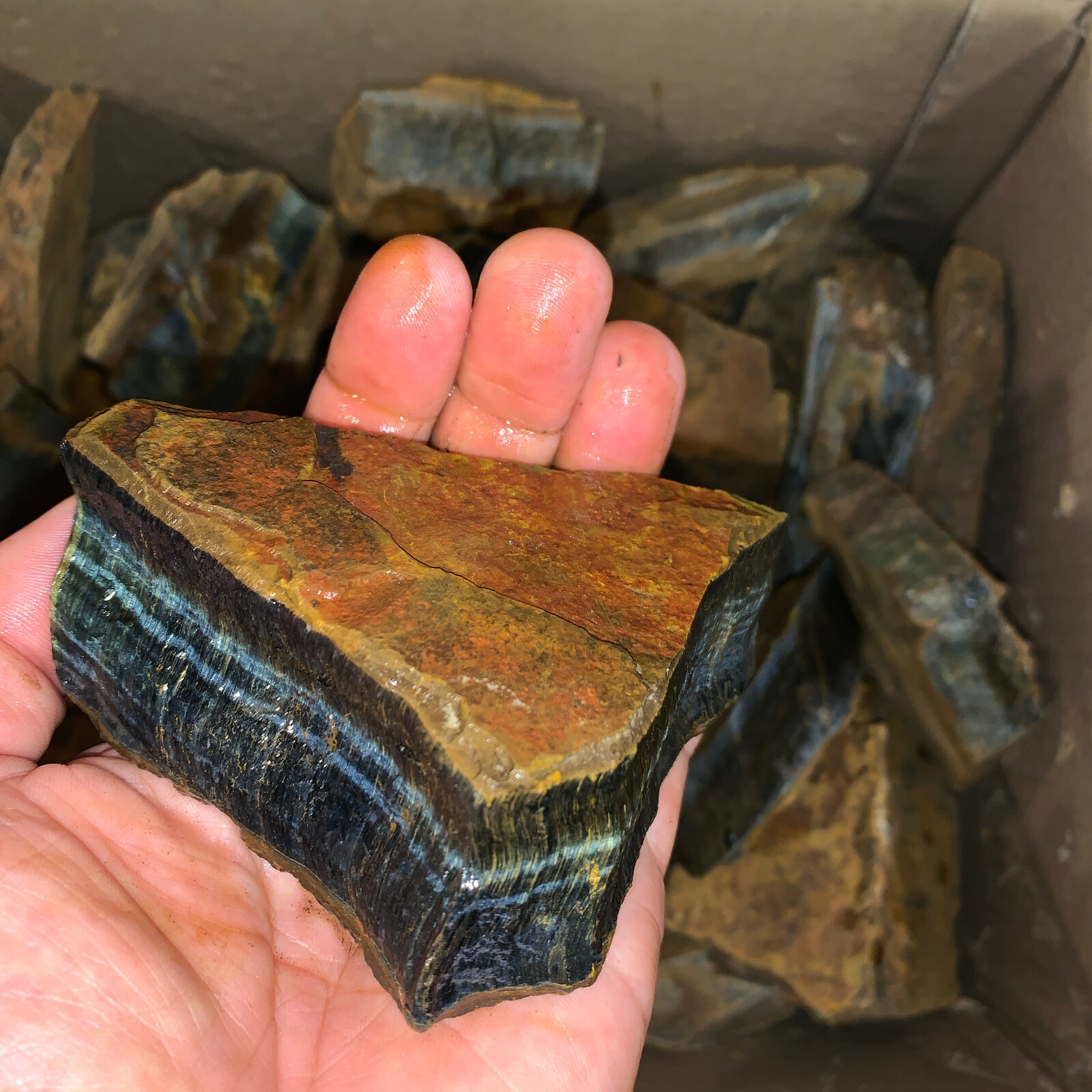 LARGE BLUE Tiger Eye Rough – 5,000 Carat Lot + a FREE Faceted Gemstone (V. RARE)