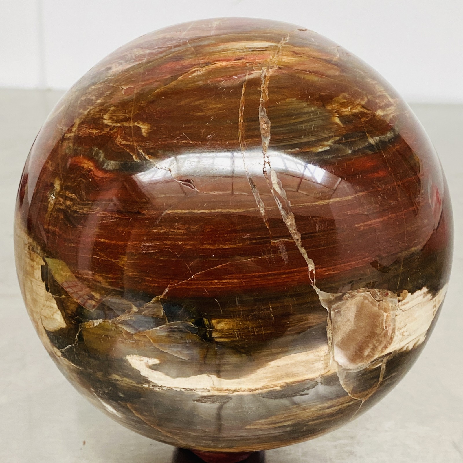 Natural Petrified Wood Polished Stone Quartz Crystal Sphere Ball Healing 3720G