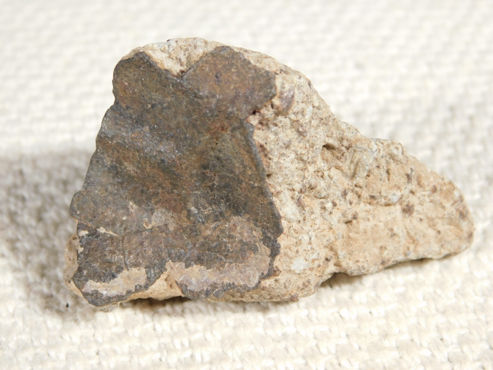 Classified NWA 8245 METEORITE Spots of Dark Fusion Crust! Erfoud, Morocco 55.4gr
