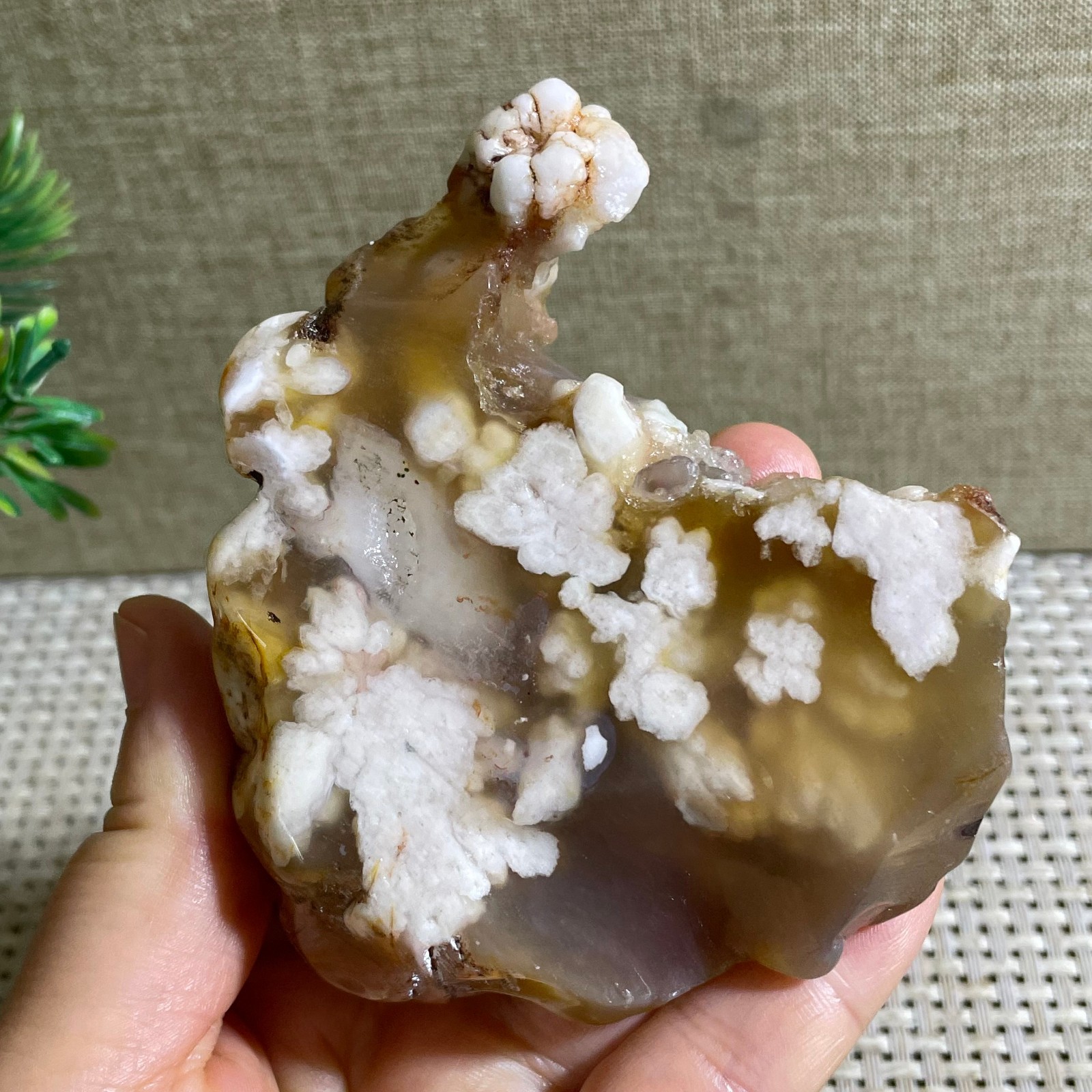 Sakura Agate Blossom Facet Rough Specimen Madagascar 186g g42