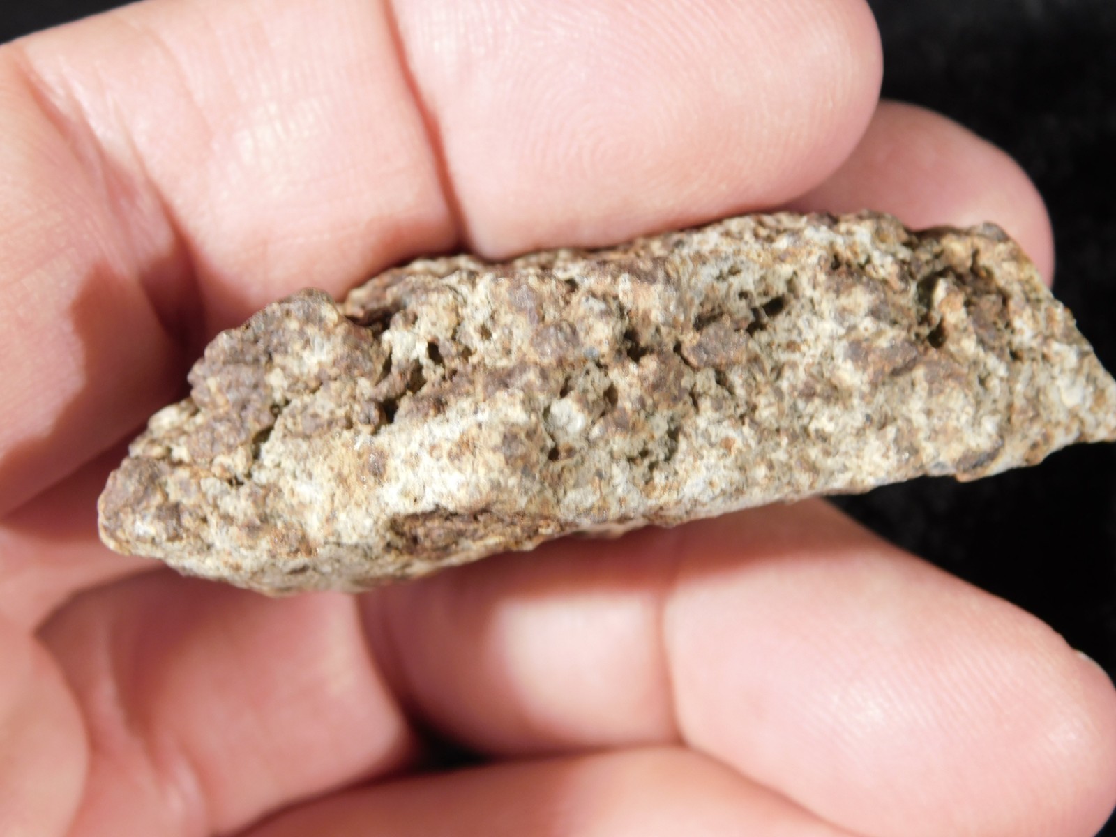 Classified NWA 8245 METEORITE Spots of Dark Fusion Crust! Erfoud, Morocco 51.6gr