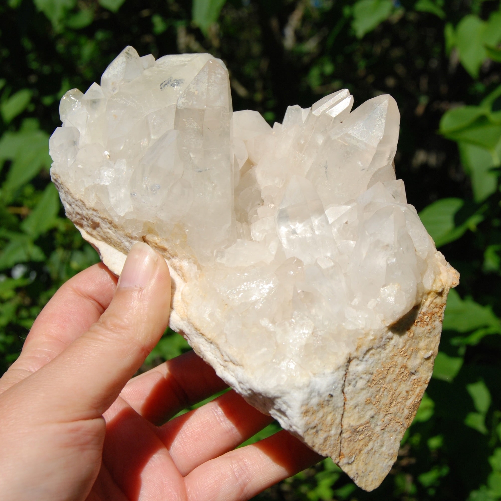 2lb 6.5in Large Clear Quartz Crystal Cluster, Zambia zc1