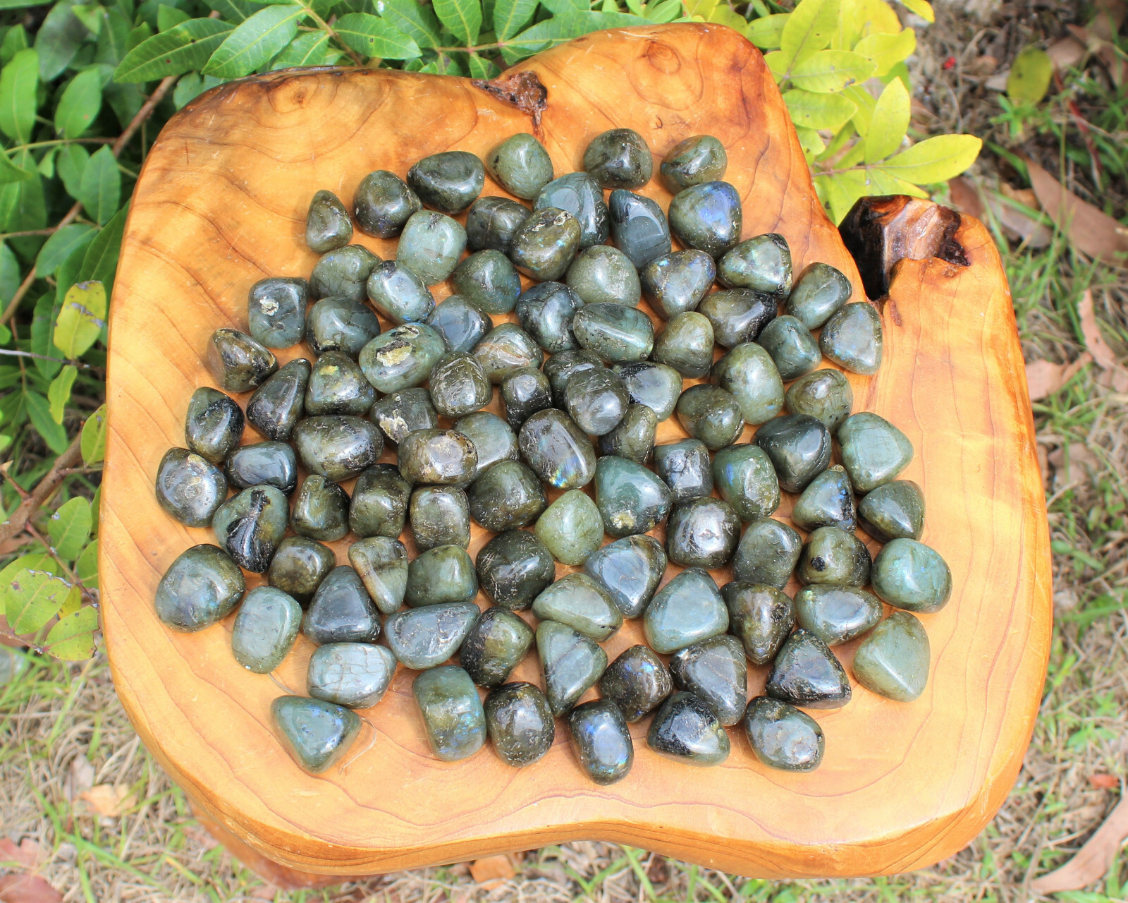 1 lb Labradorite Tumbled Stones, Bulk Lot (Crystal Healing Reiki Gemstone)