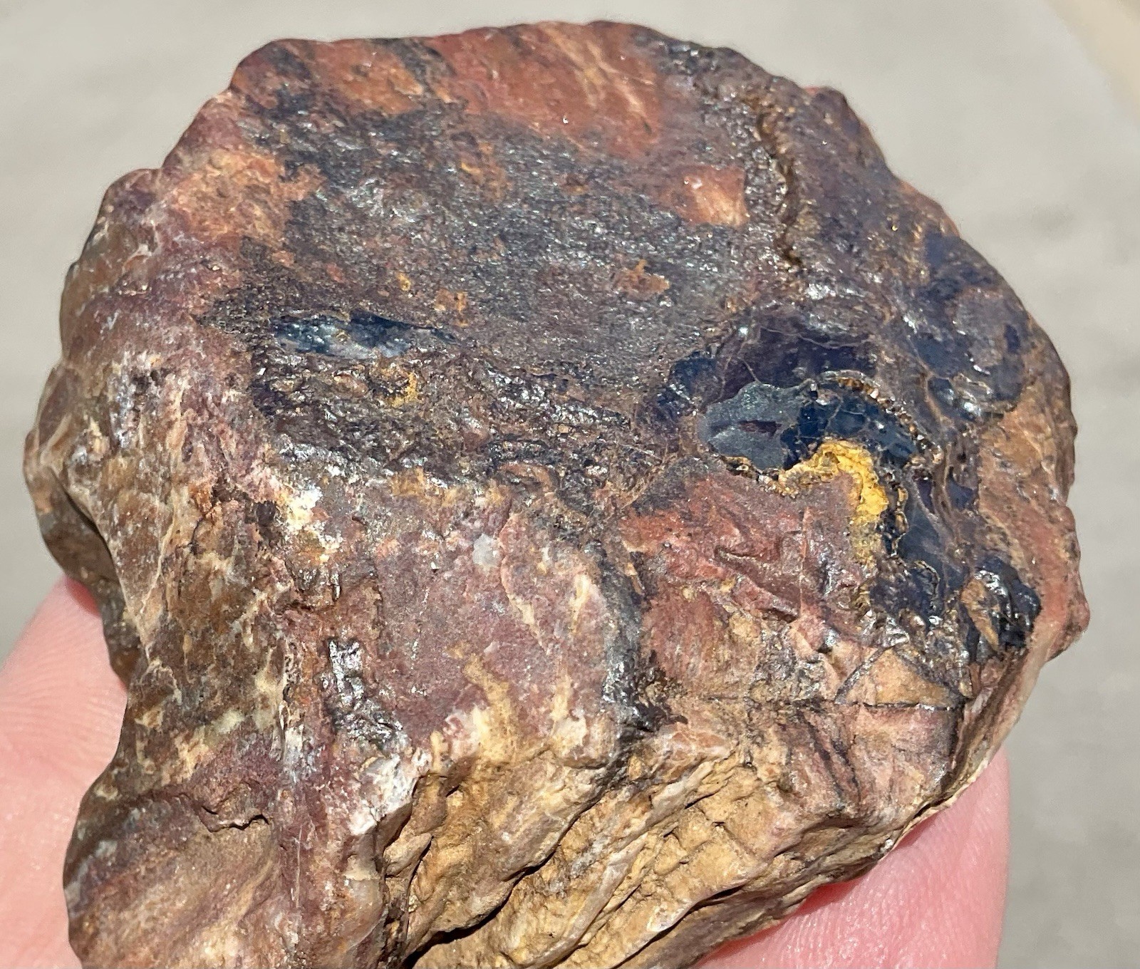 141g Banded Iron Petrified Wood Pseudomorph Rare Minnesota Rough Lapidary