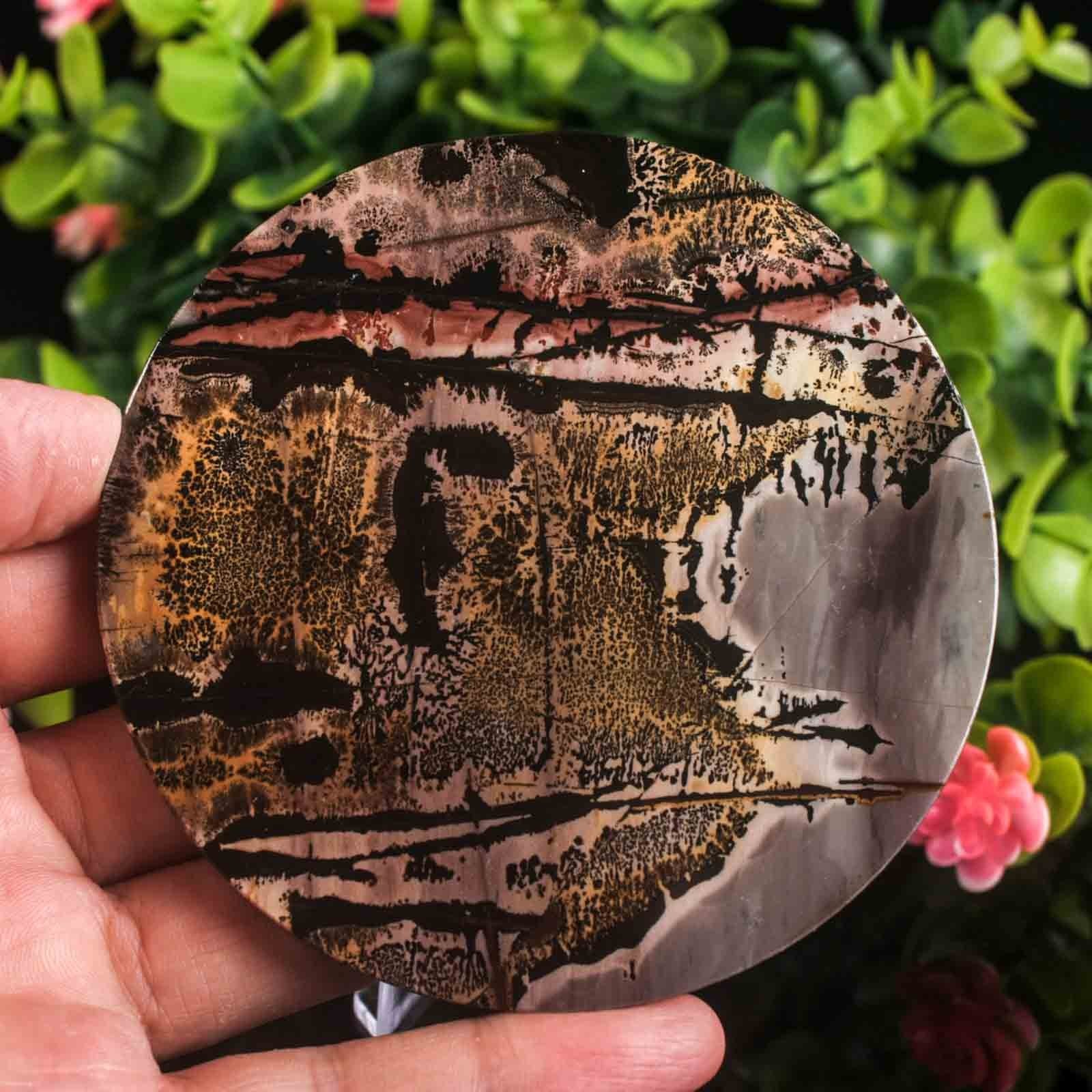Picture Jasper Slab Natural Stone Display Crystal Specimen w/Stand 3.7″ 4.4oz