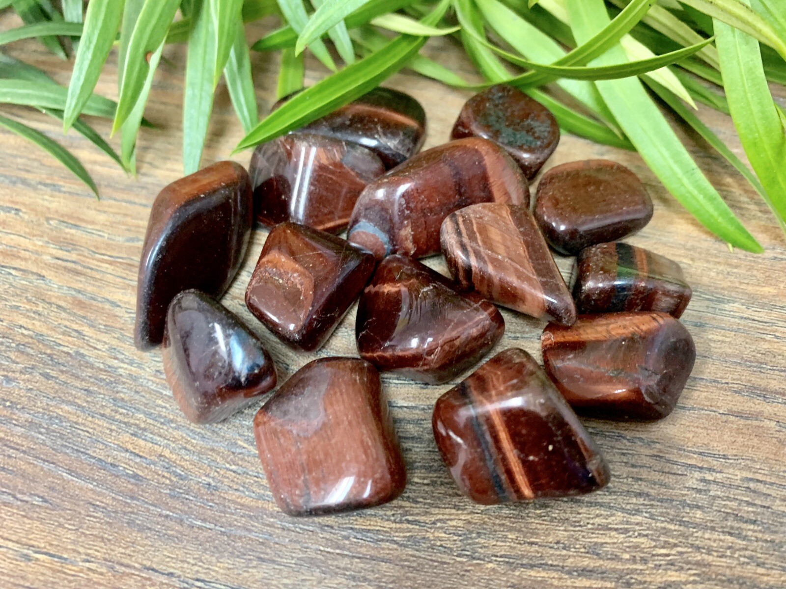 1/2 lb Red Tiger Iron Tumbled Stones Crystal Therapy Gemstone Specimen Reiki.