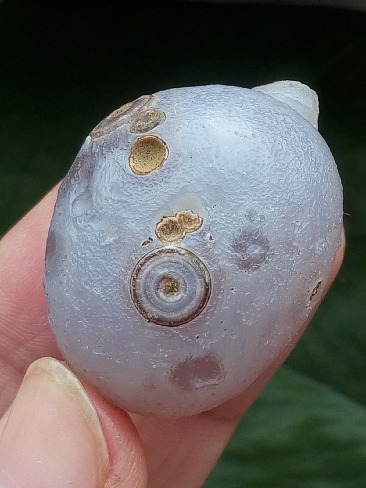 36mm Beautiful Natural agate Gobi agate eye agate stone cute collection