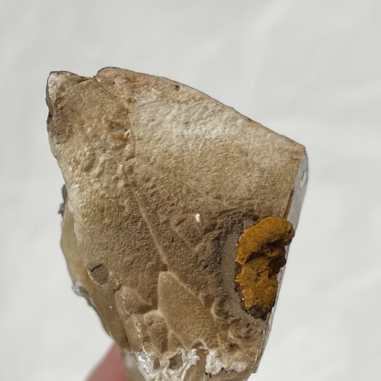 Calcite Crystal From Estill Co KENTUCKY USA 30g